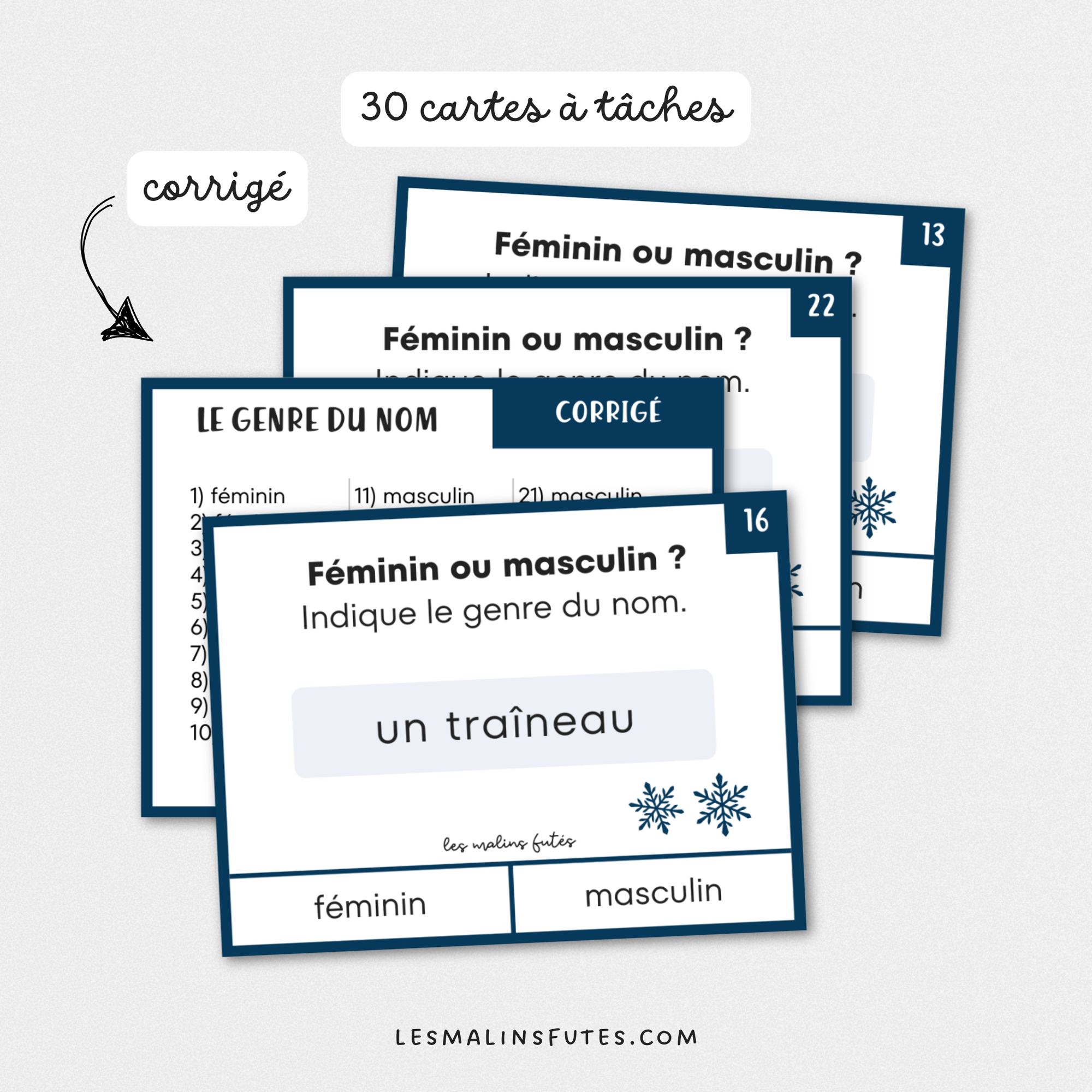 Cartes à tâches sur le genre du nom pour la 1re année. Les Malins Futés