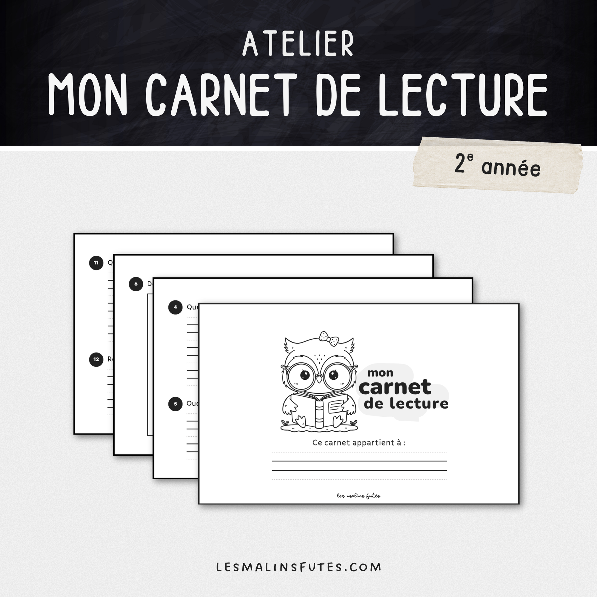 Carnet de lecture pour la 2e année. Les Malins Futés