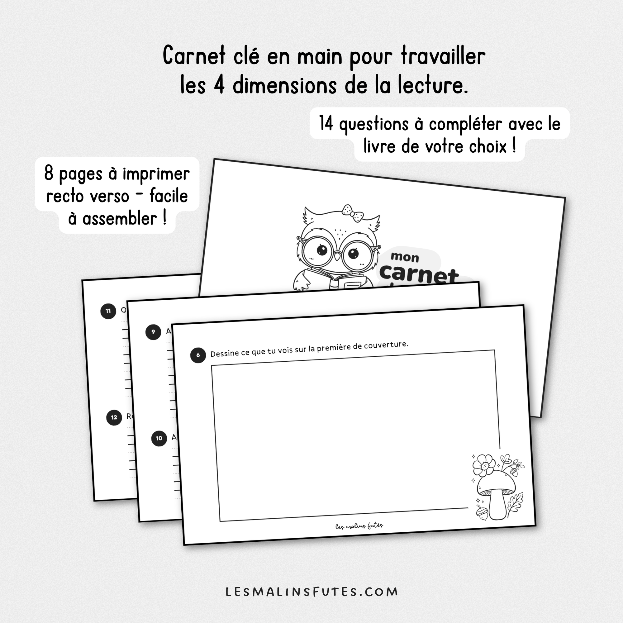 Carnet de lecture pour la 2e année. Les Malins Futés