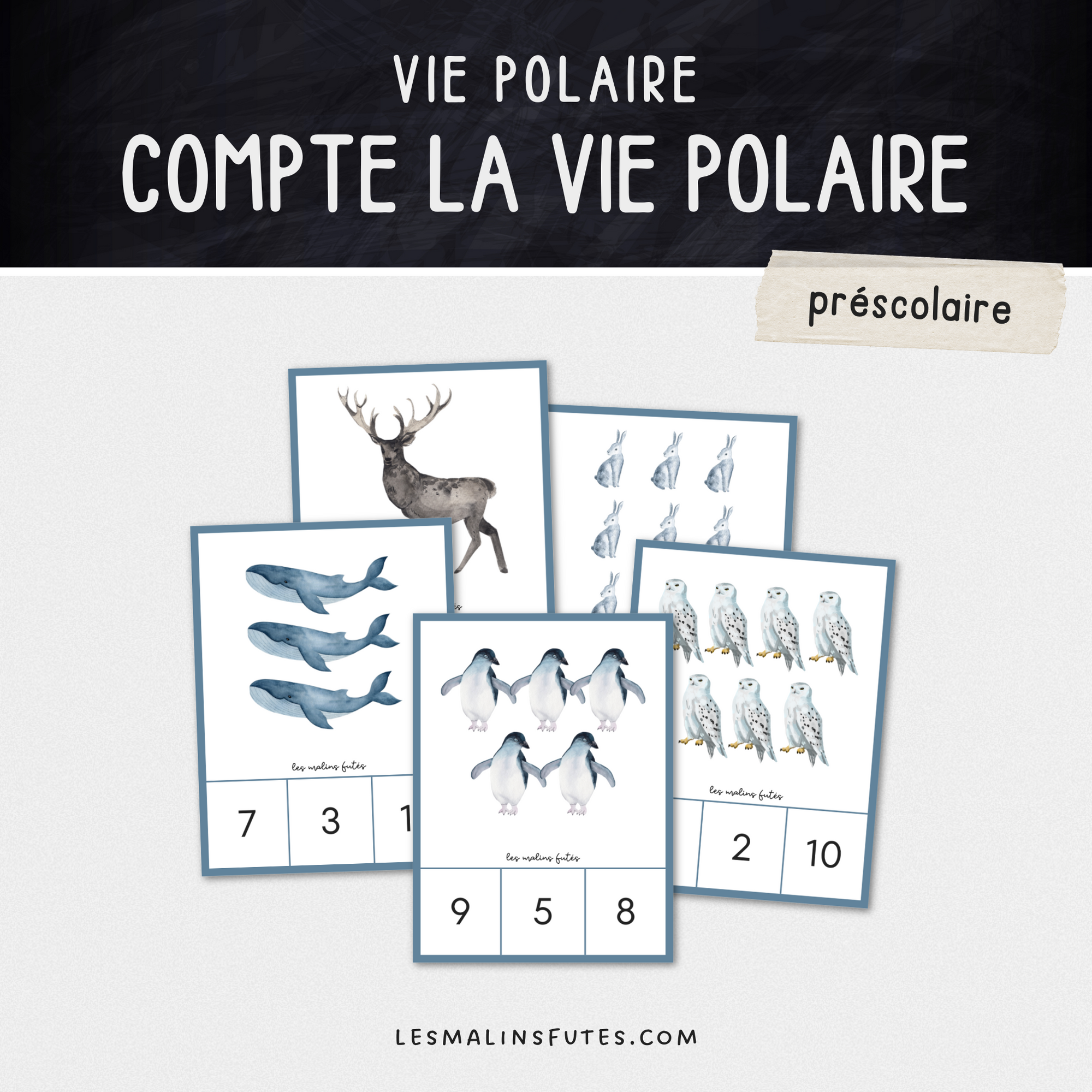 Compte la vie polaire à l'aide de tes cartes à pinces. Les Malins Futés