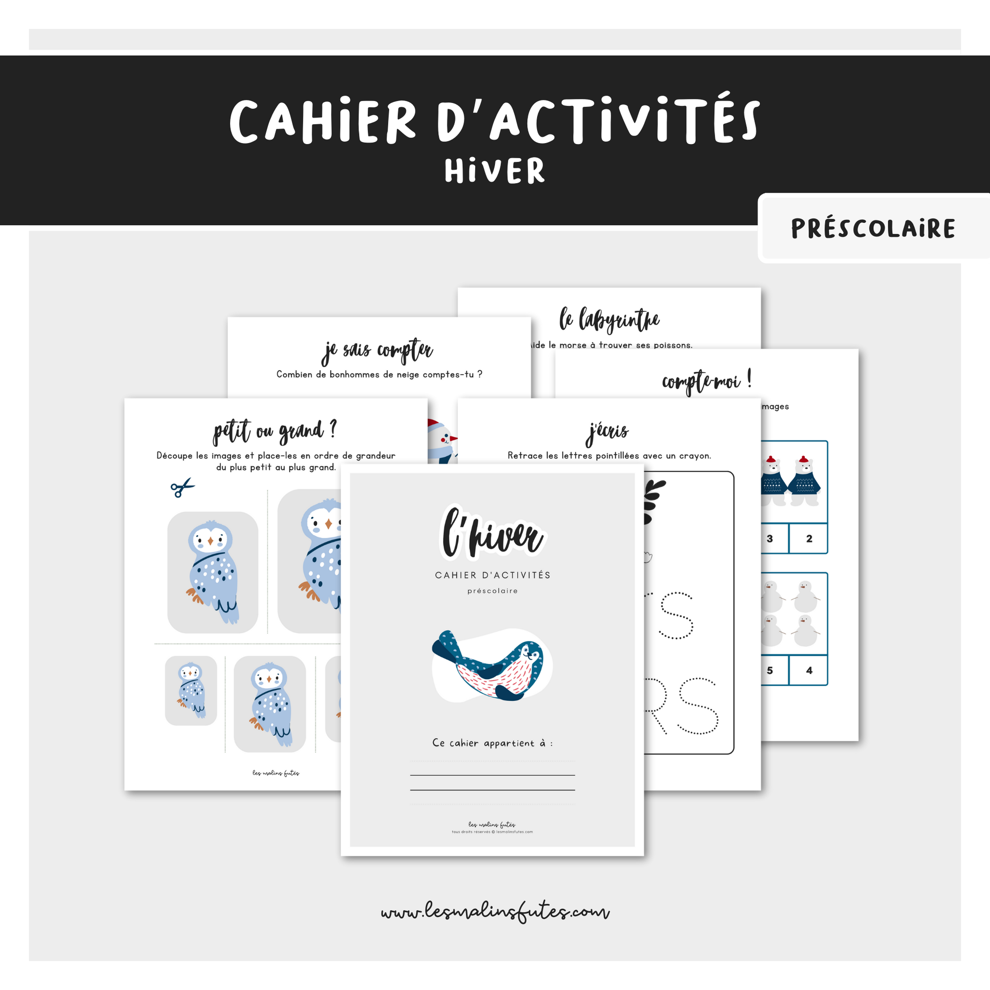 Cahier d'activités hiver - préscolaire. Les Malins Futés