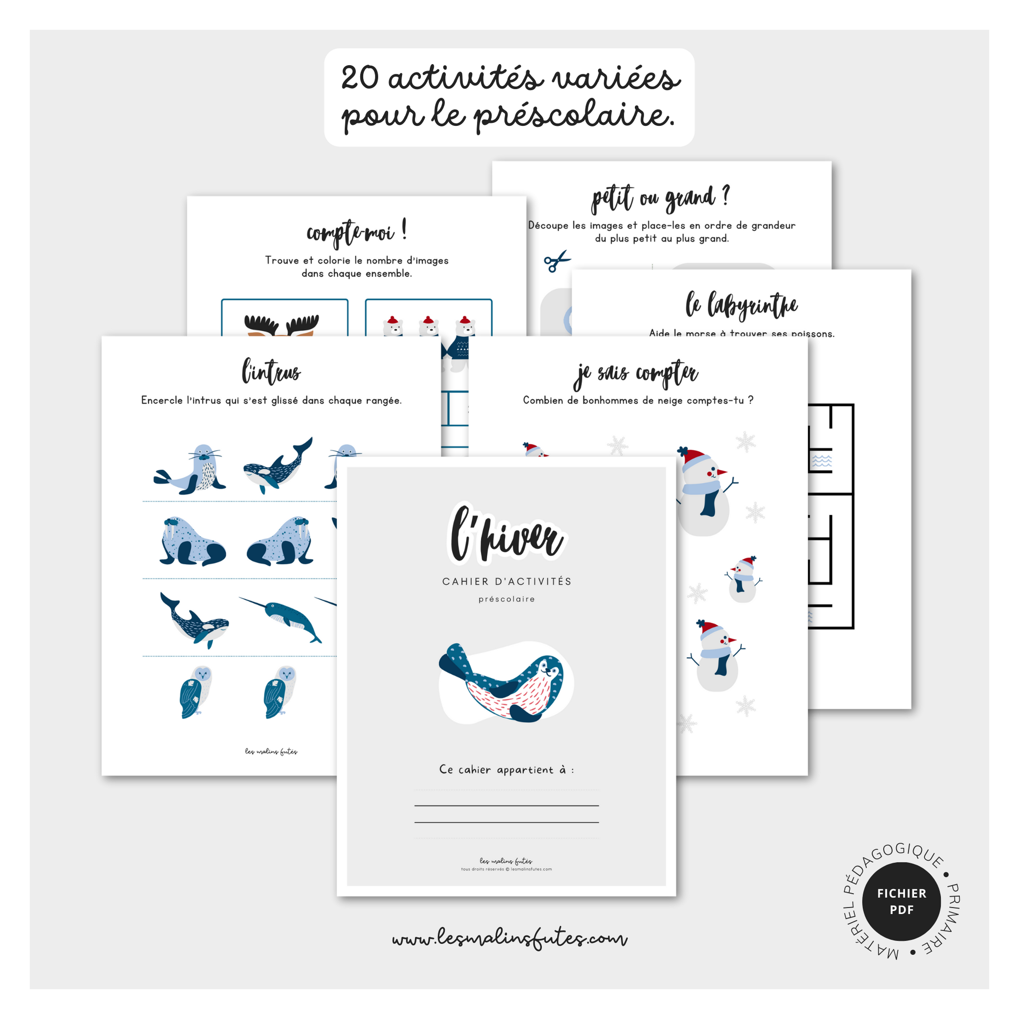 Cahier d'activités hiver - préscolaire. Les Malins Futés