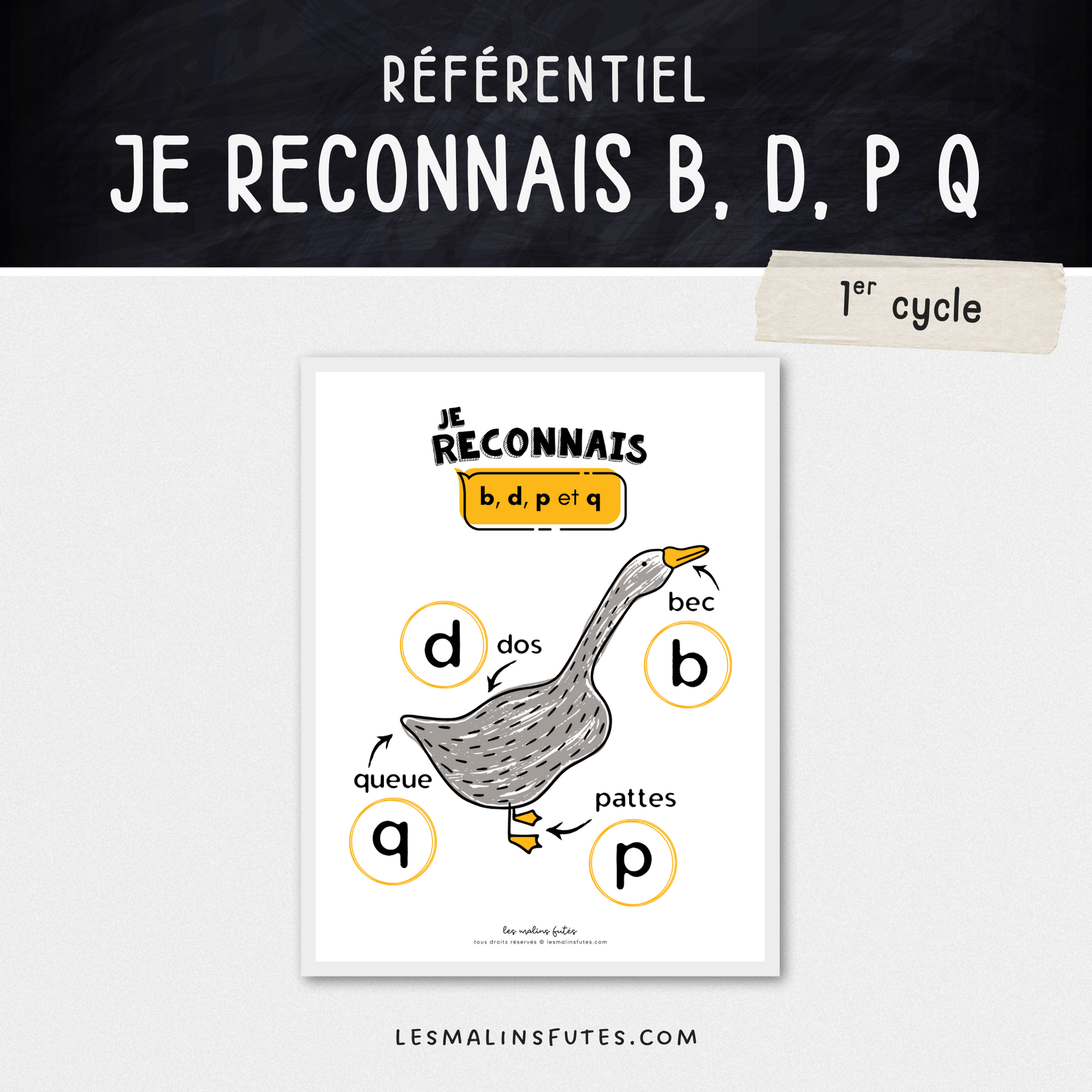 Affiche «Je reconnais b, d, p et q» - 1er cycle - Les Malins Futés