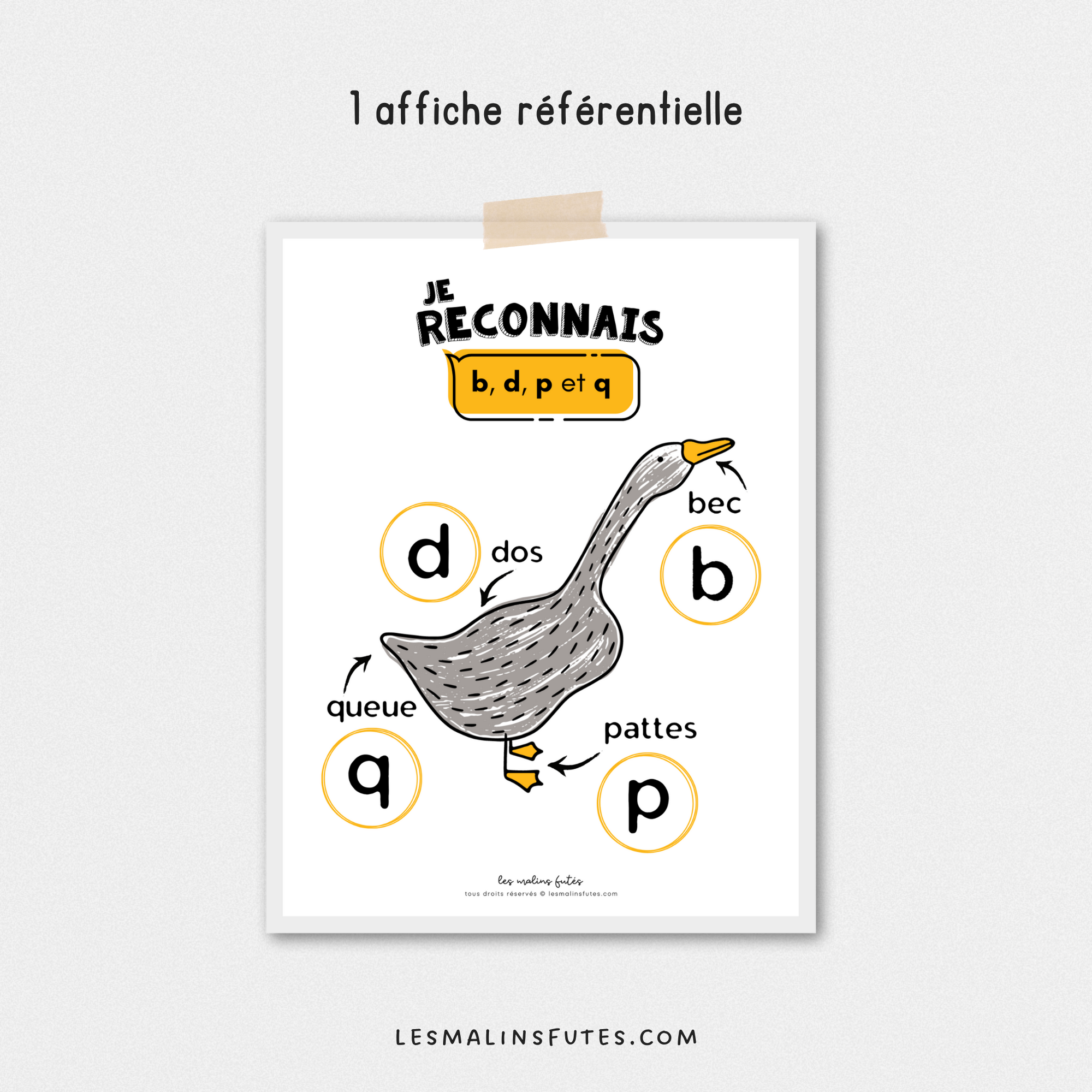 Affiche «Je reconnais b, d, p et q» - 1er cycle - Les Malins Futés