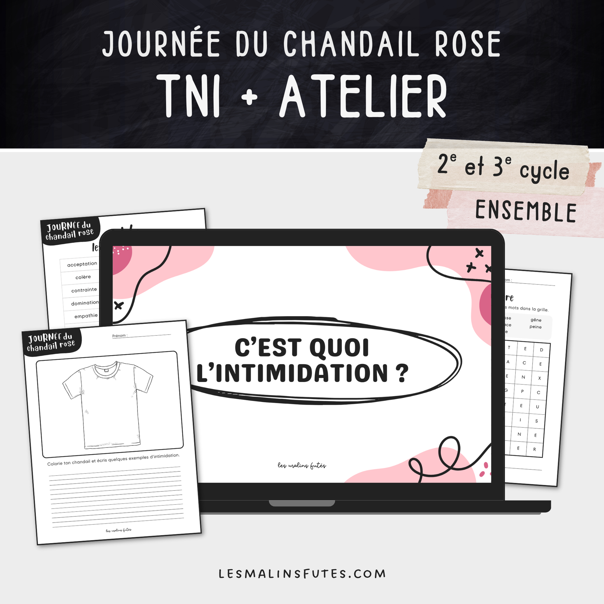 Ensemble pour le 2e et 3e cycle Journée du chandail rose. Les Malins Futés