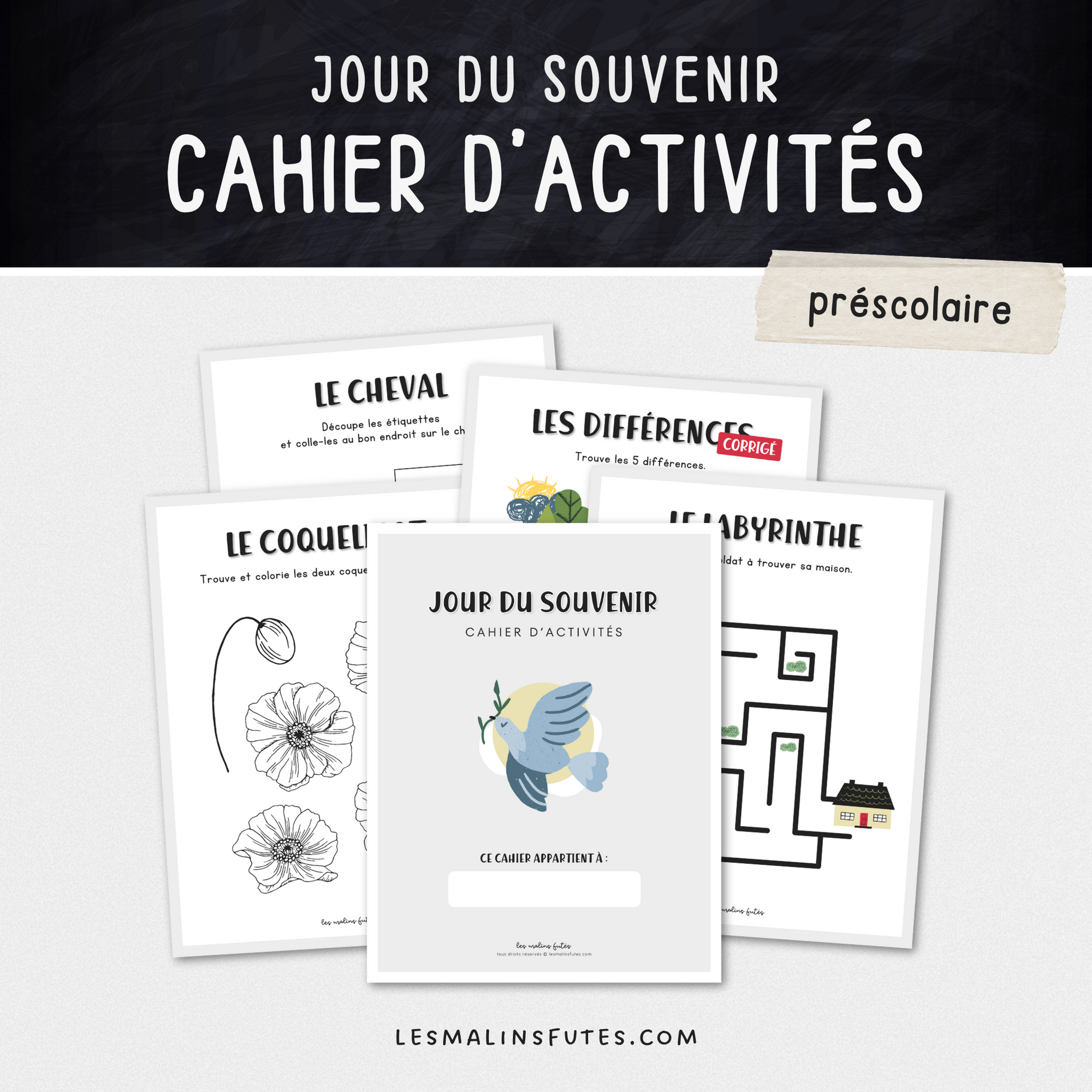 Cahier du jour du Souvenir pour le préscolaire. Les Malins Futés