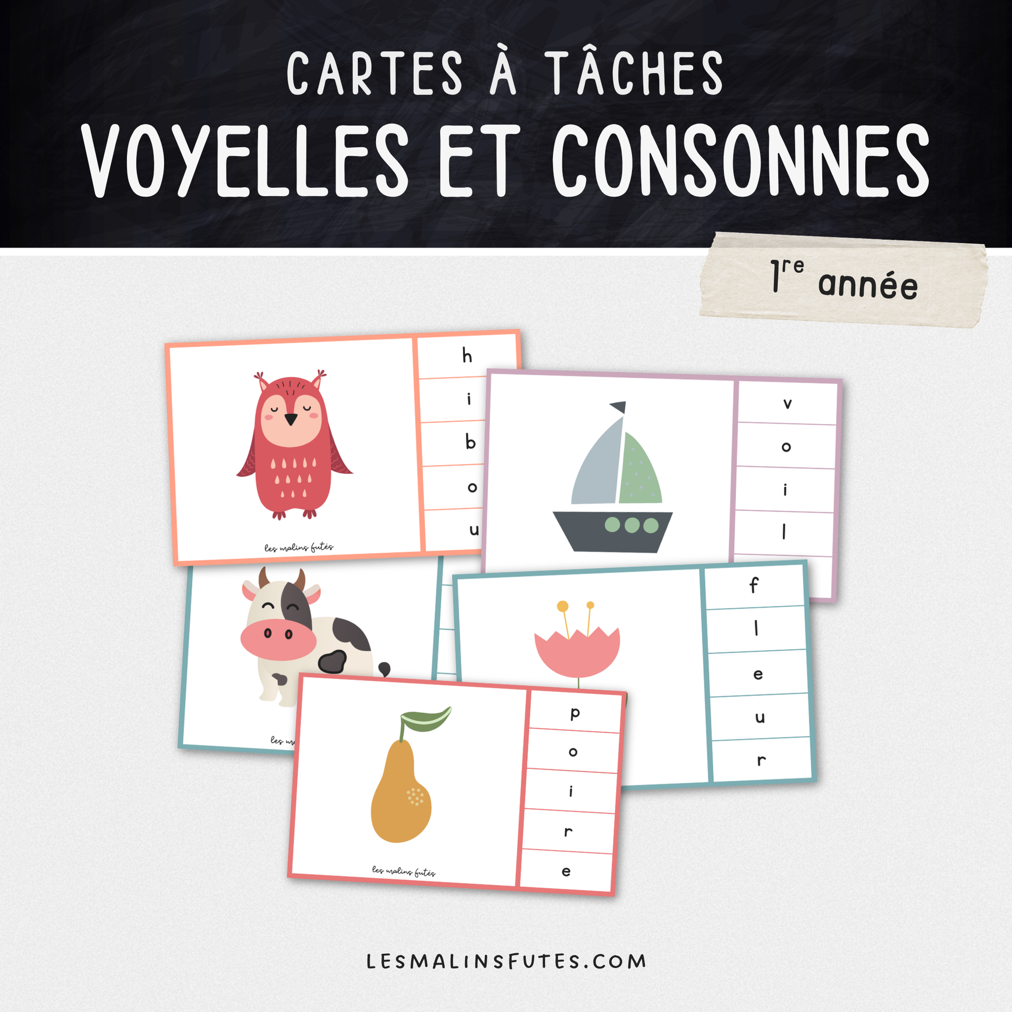 Les voyelles et les consonnes - Les Malins Futés