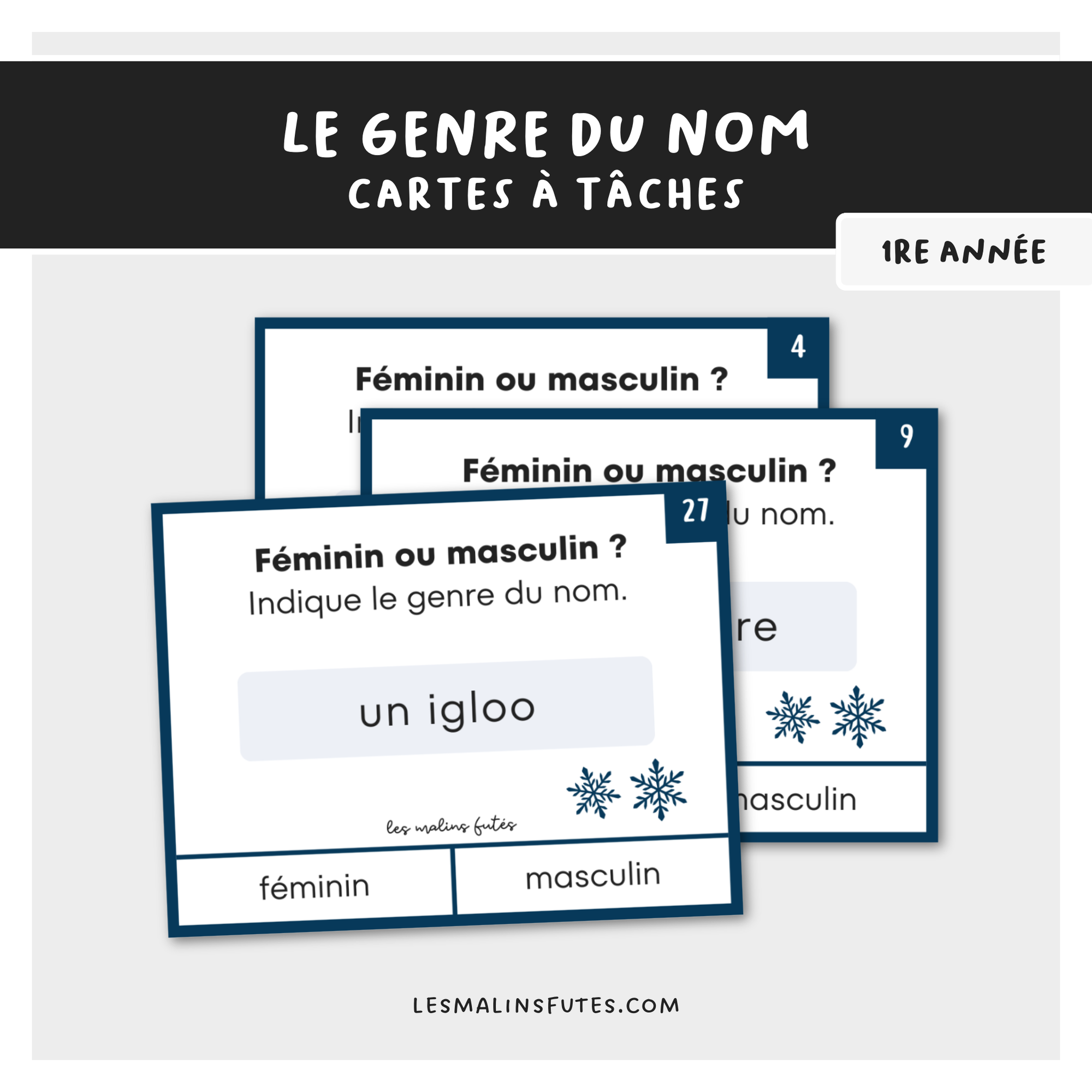 Cartes à tâches sur le genre du nom pour la 1re année. Les Malins Futés