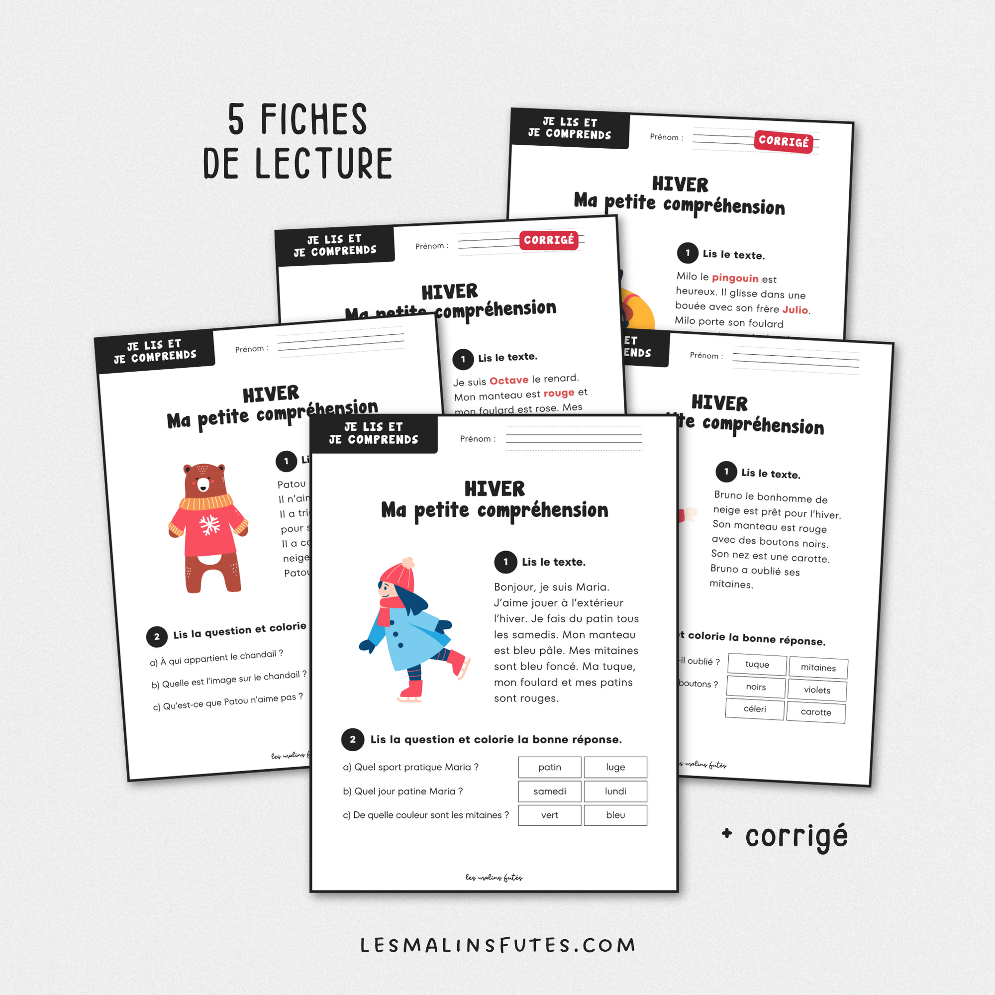 Ma petite compréhension de texte pour l'hiver. Les Malins Futés