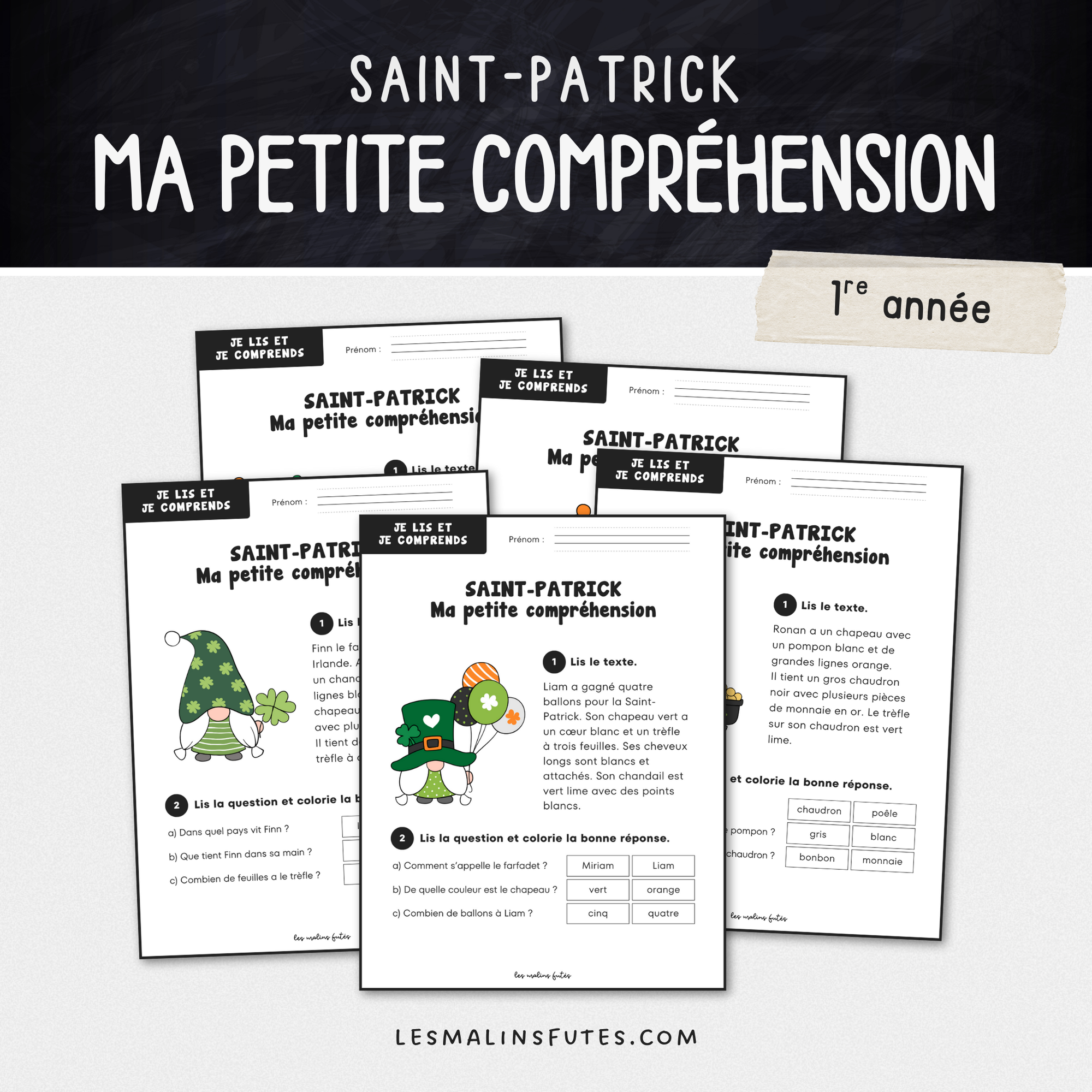 Ma petite compréhension de texte pour la Saint-Patrick. Les Malins Futés