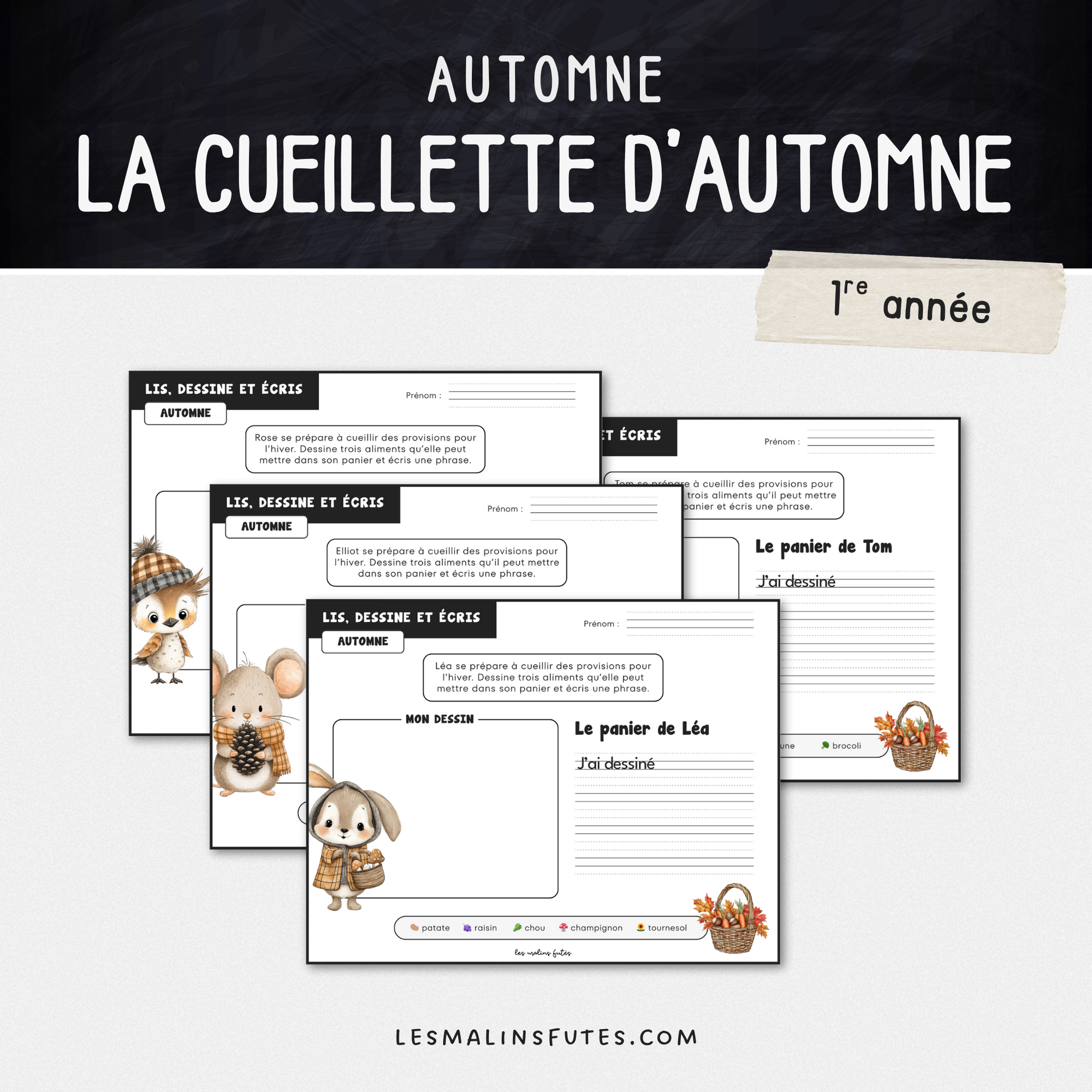 Lis, dessine et écris sur le thème de l'automne pour la 1re année. Les Malins Futés