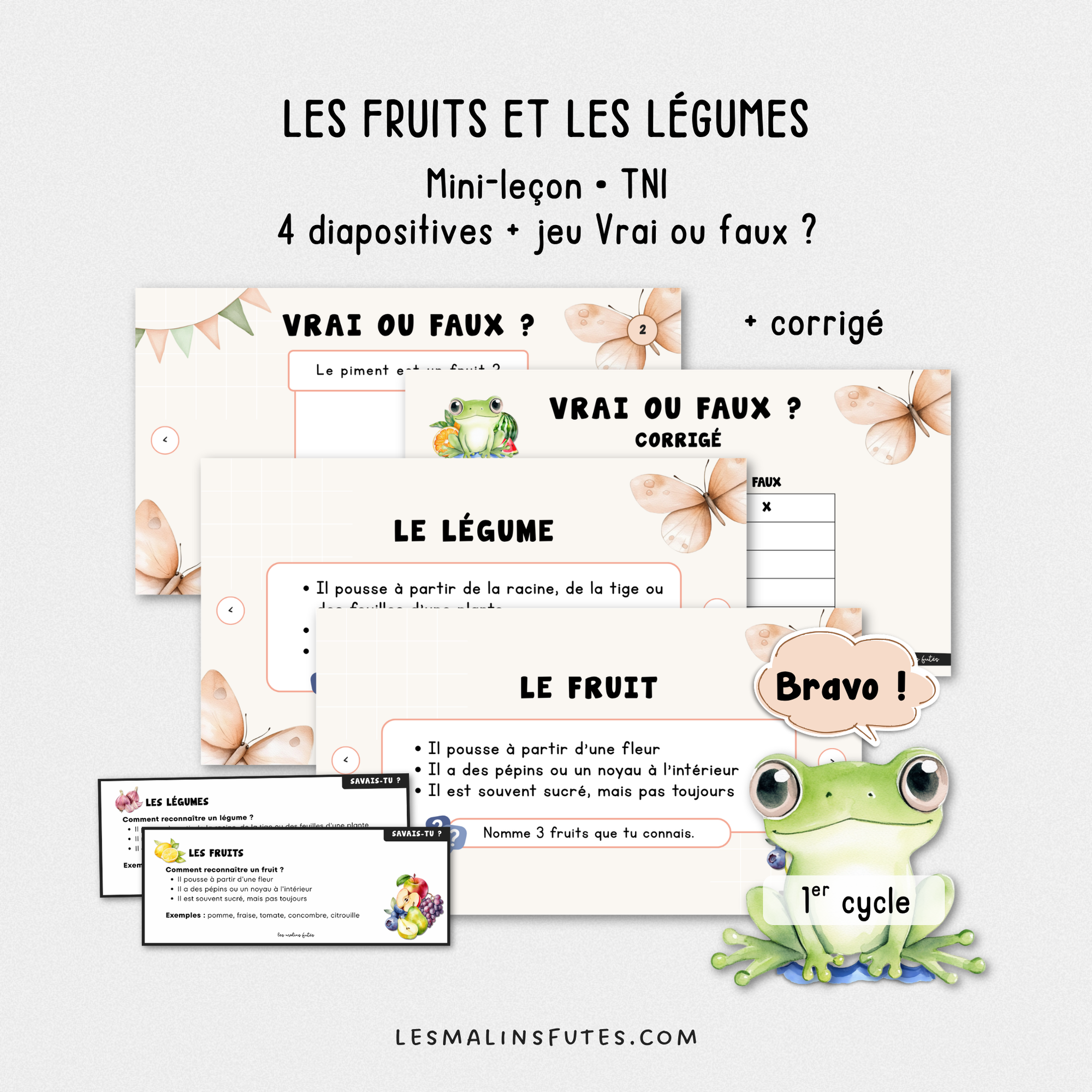 Mini-leçon interactive sur les fruits et les légumes, 1er cycle du primaire - Les Malins Futés