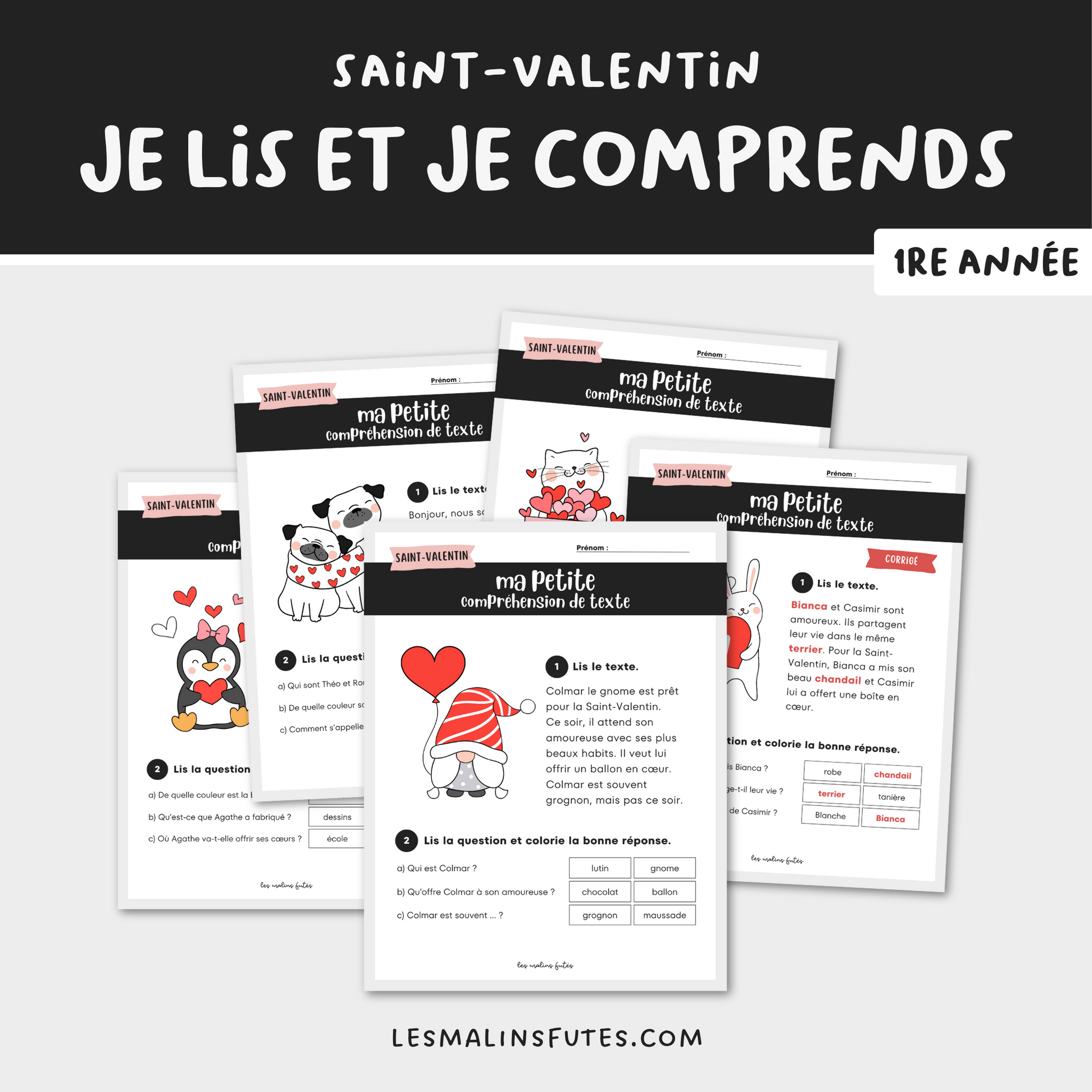 Ma petite compréhension de texte pour la 1re année sur le thème de la Saint-Valentin. Les Malins Futés