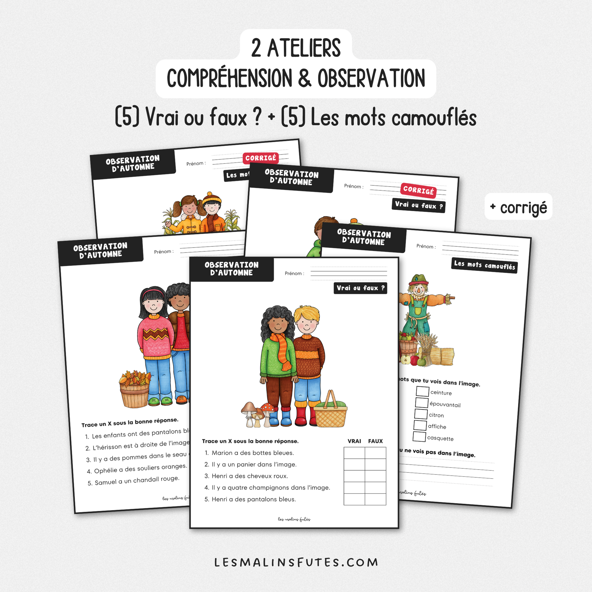 2 ateliers pour la compréhension de texte sur le thème de l'automne au 1er cycle. Les Malins Futés