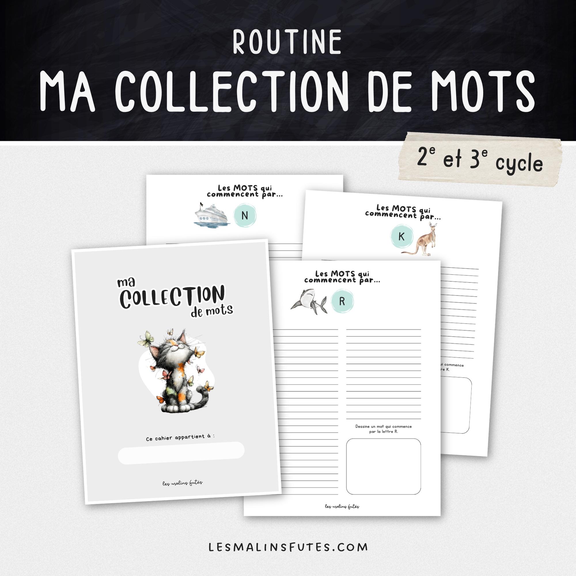 Cahier d'écriture des mots à l'étude pour les élèves du 2e et 3e cycle avec éléments graphiques. Les Malins Futés