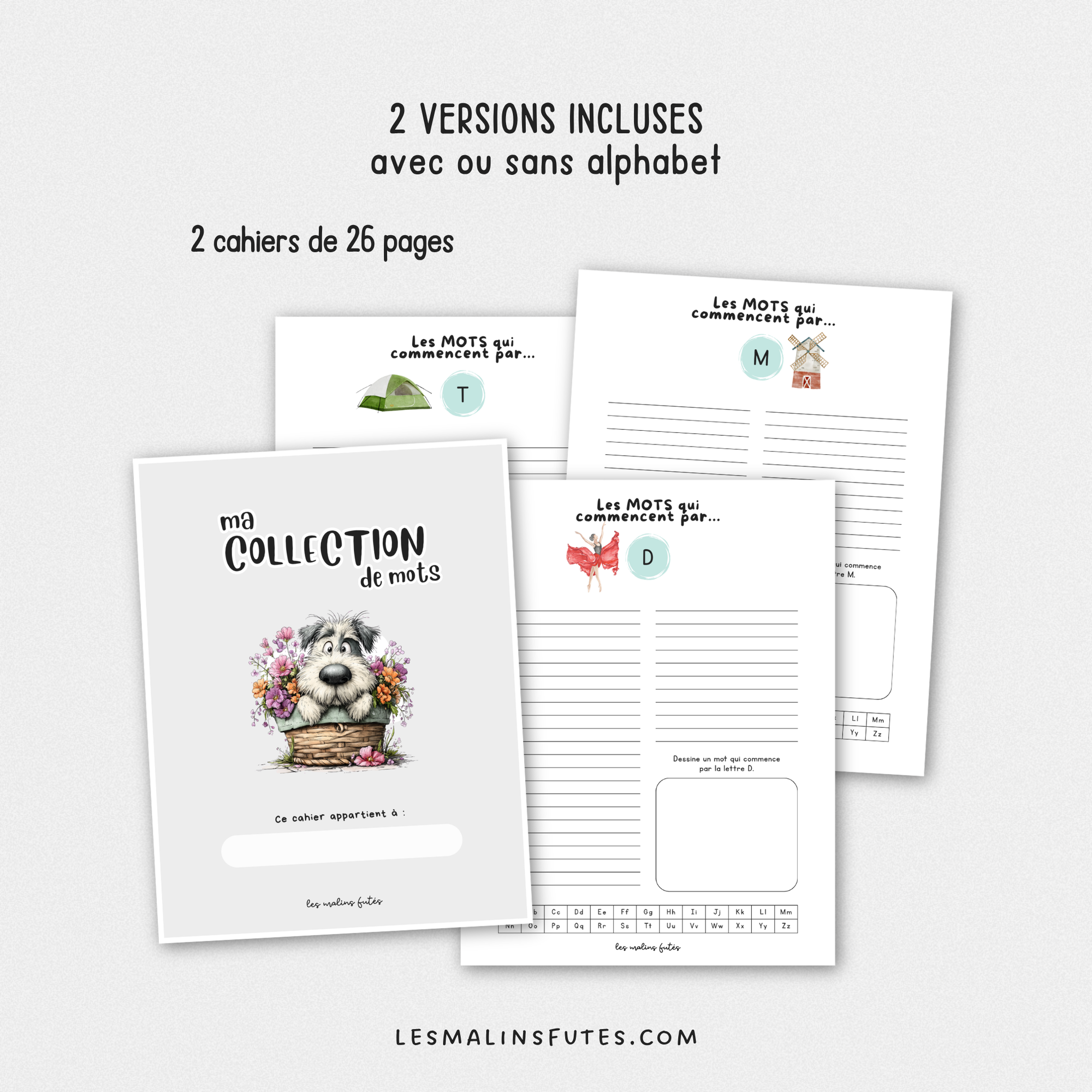 Cahier d'écriture des mots à l'étude pour les élèves du 2e et 3e cycle avec éléments graphiques. Les Malins Futés