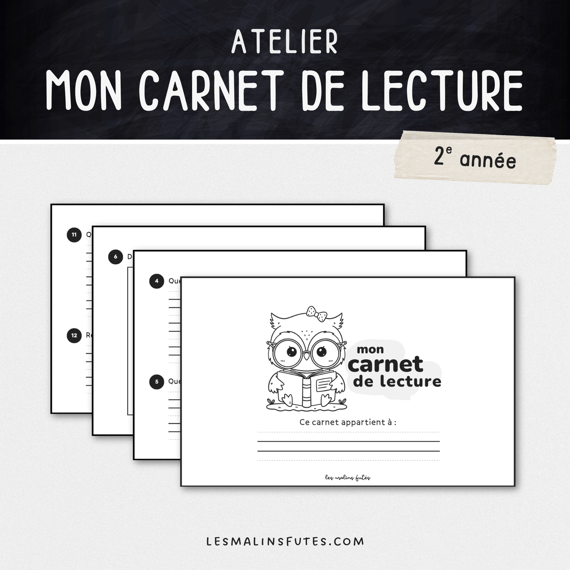 Carnet de lecture pour la 2e année. Les Malins Futés