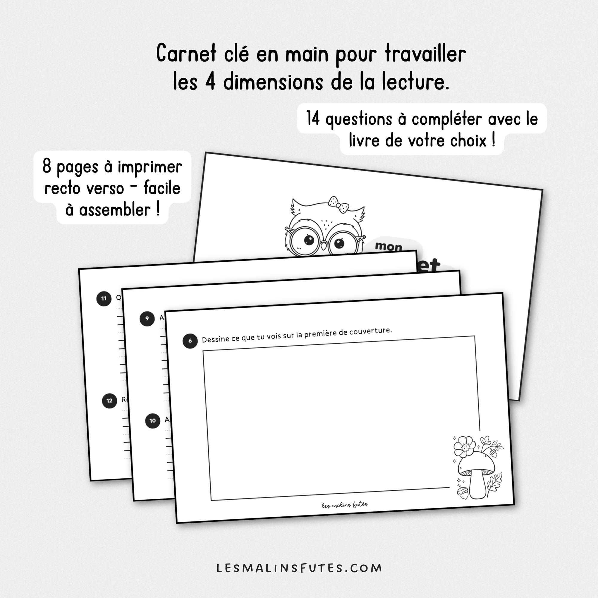 Carnet de lecture pour la 2e année. Les Malins Futés