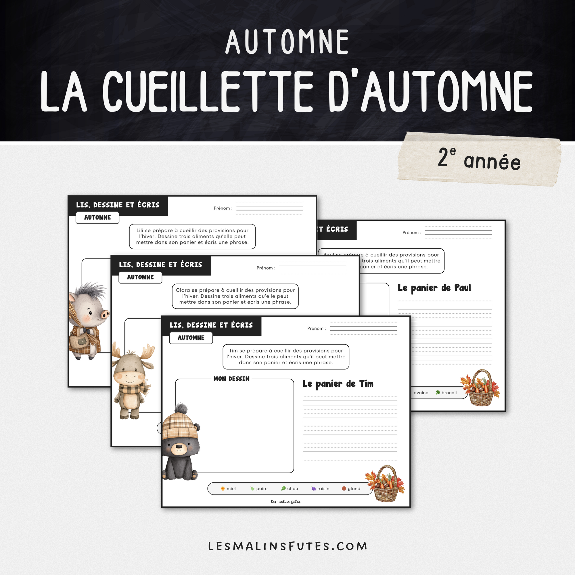 Lis, dessine et écris sur le thème de l'automne pour la 2e année. Les Malins Futés