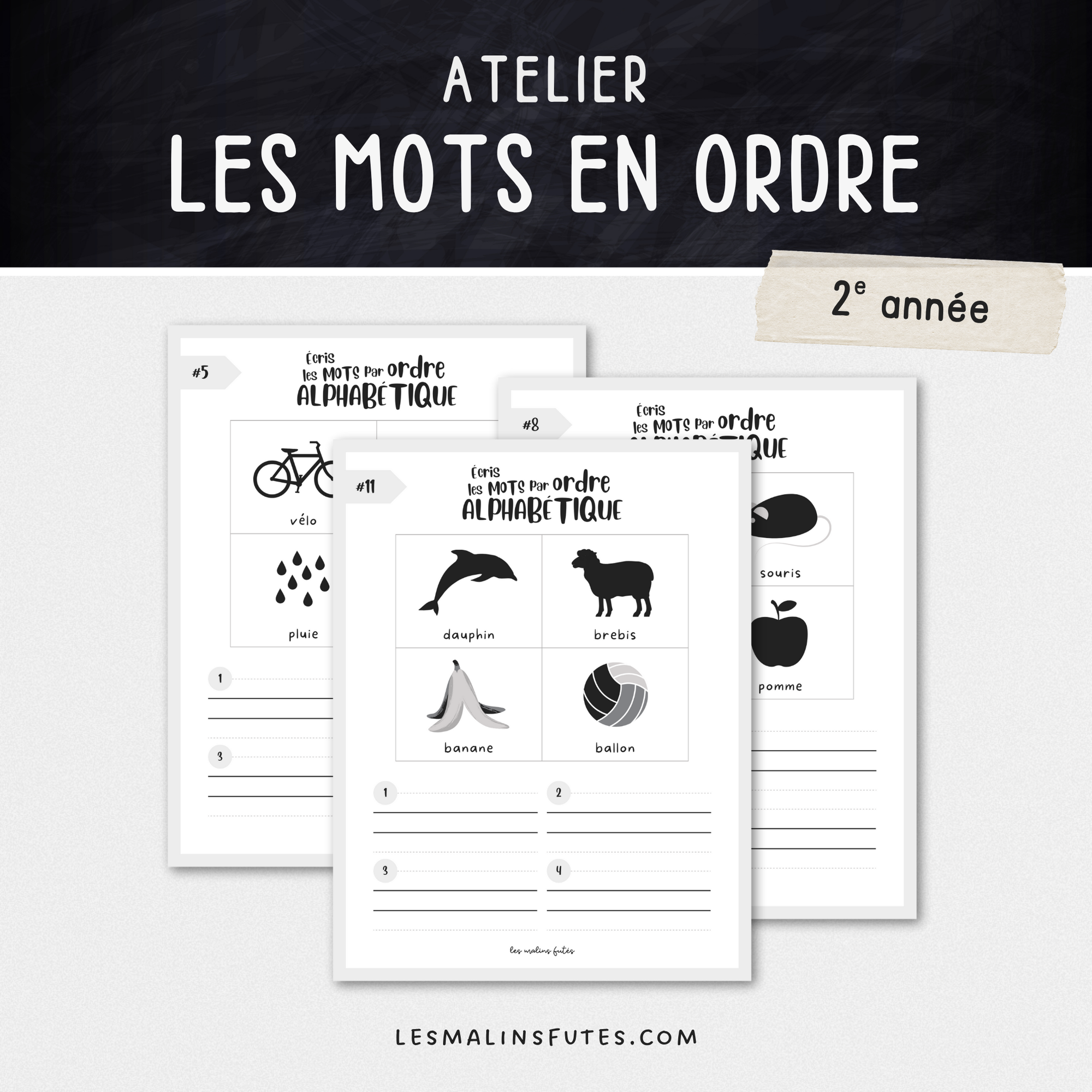 Écris les mots par ordre alphabétique - Les Malins Futés