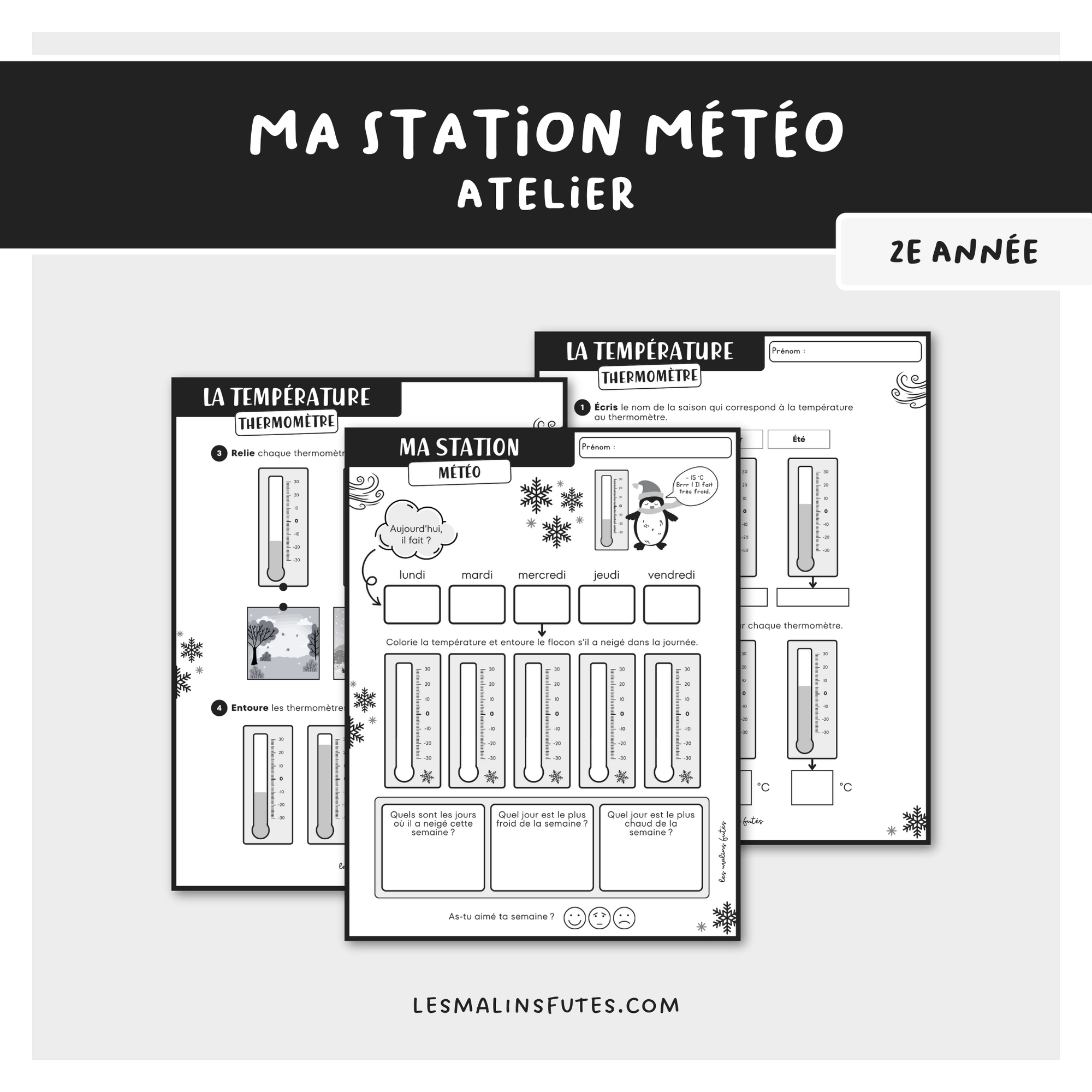 Atelier sur la température pour la 2e année. Les Malins Futés