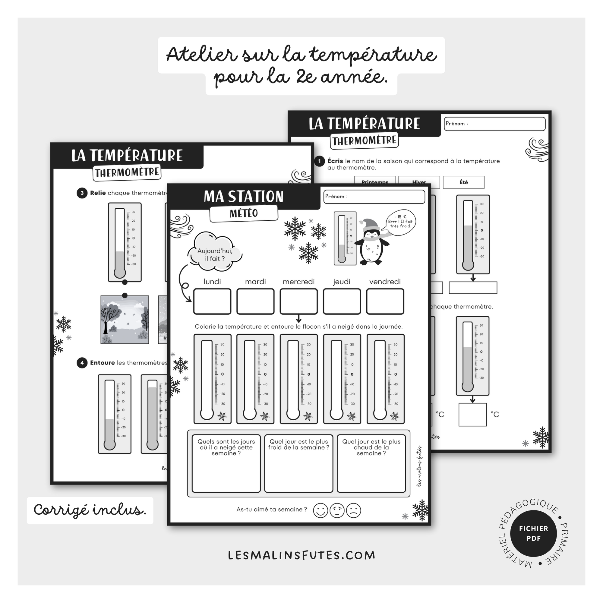 Atelier sur la température pour la 2e année. Les Malins Futés