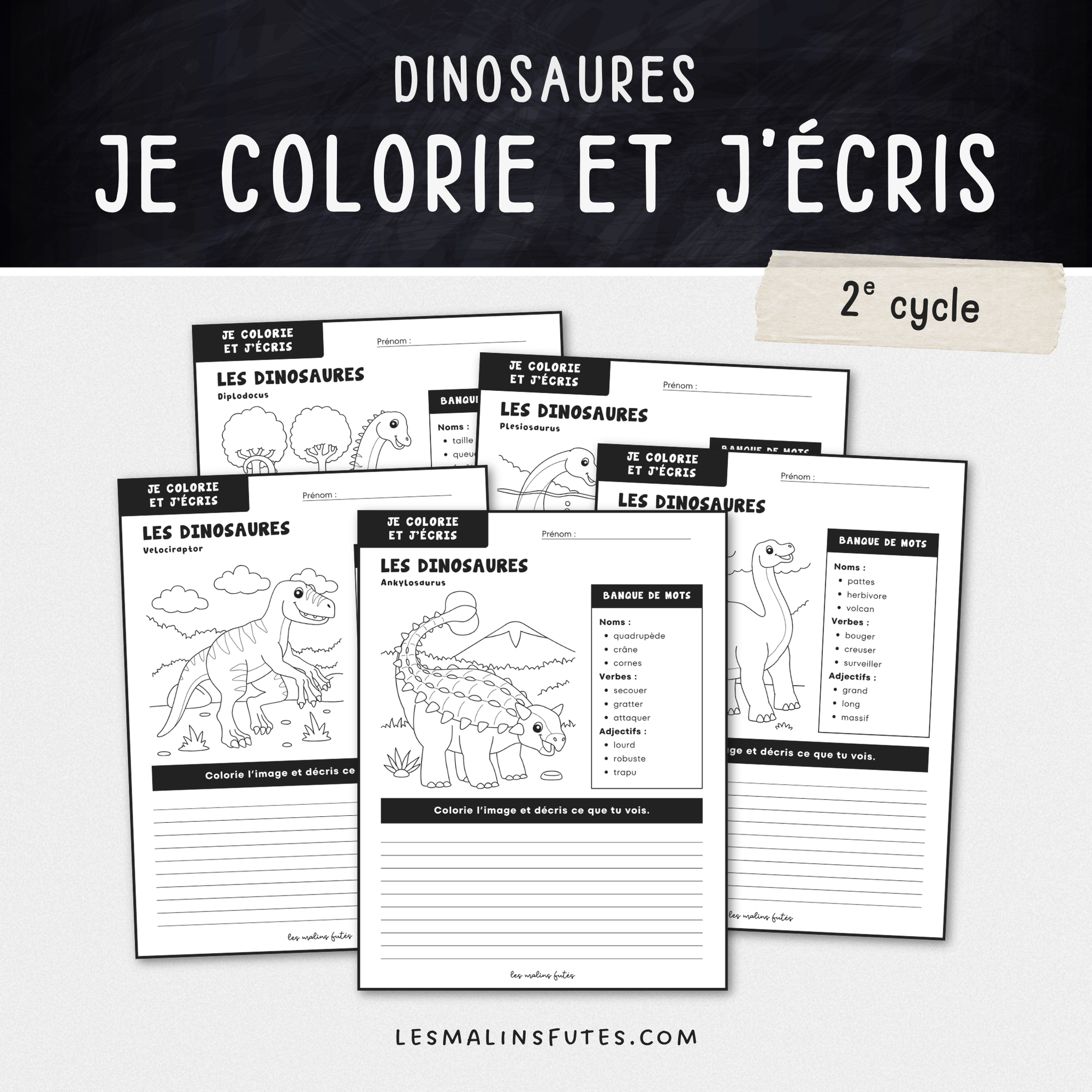 Illustration de fiches éducatives sur le thème des dinosaures pour le 2e cycle du primaire avec éléments graphiques.