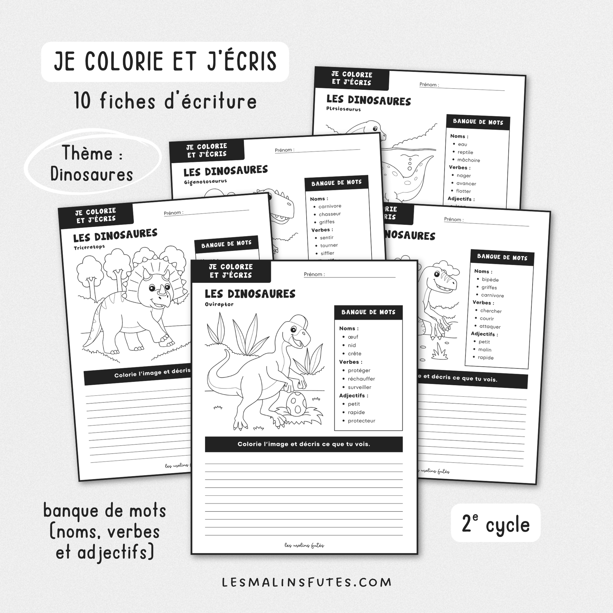 Illustration de fiches éducatives sur le thème des dinosaures pour le 2e cycle du primaire avec éléments graphiques.