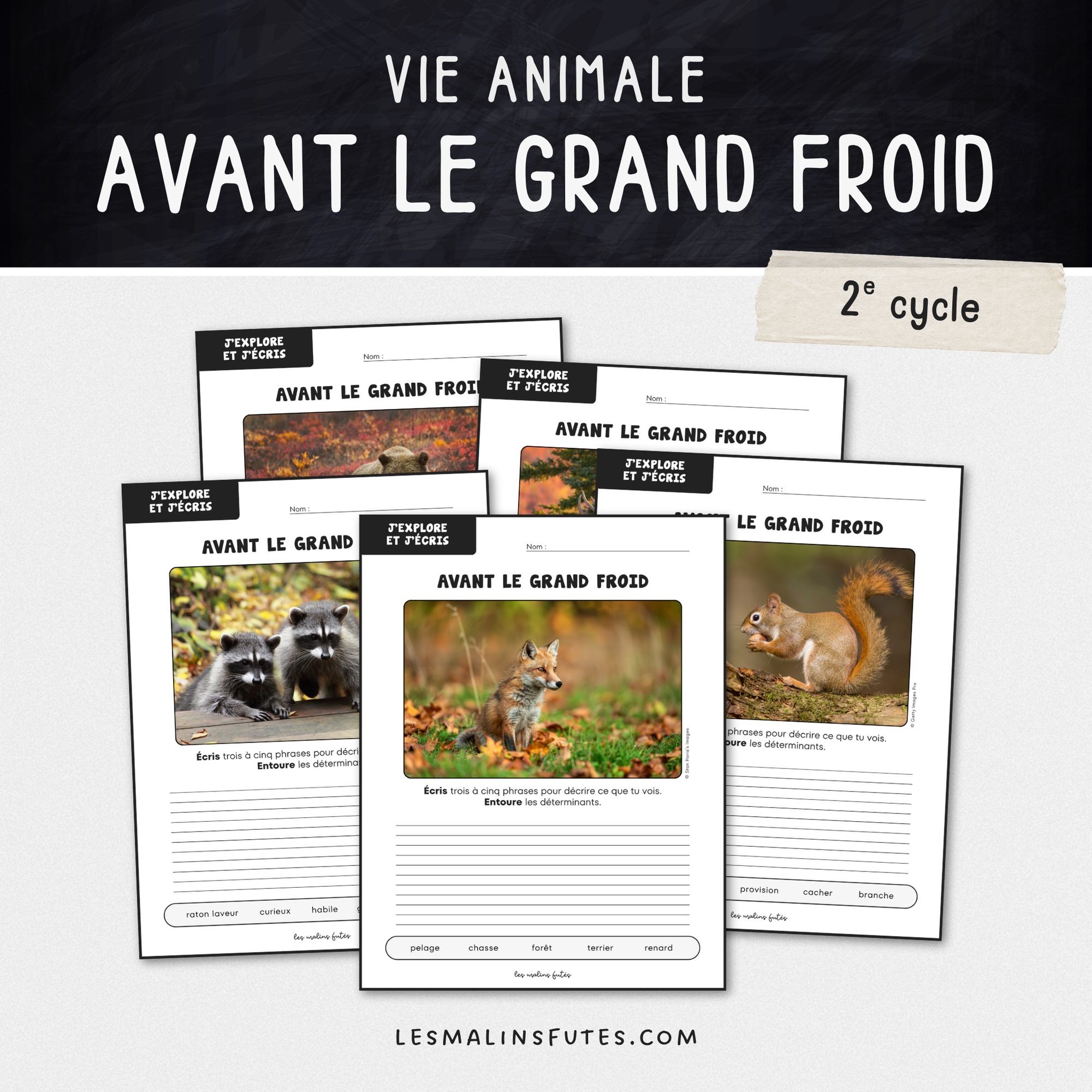 Écriture : Avant le grand froid - 2e cycle. Les Malins Futés