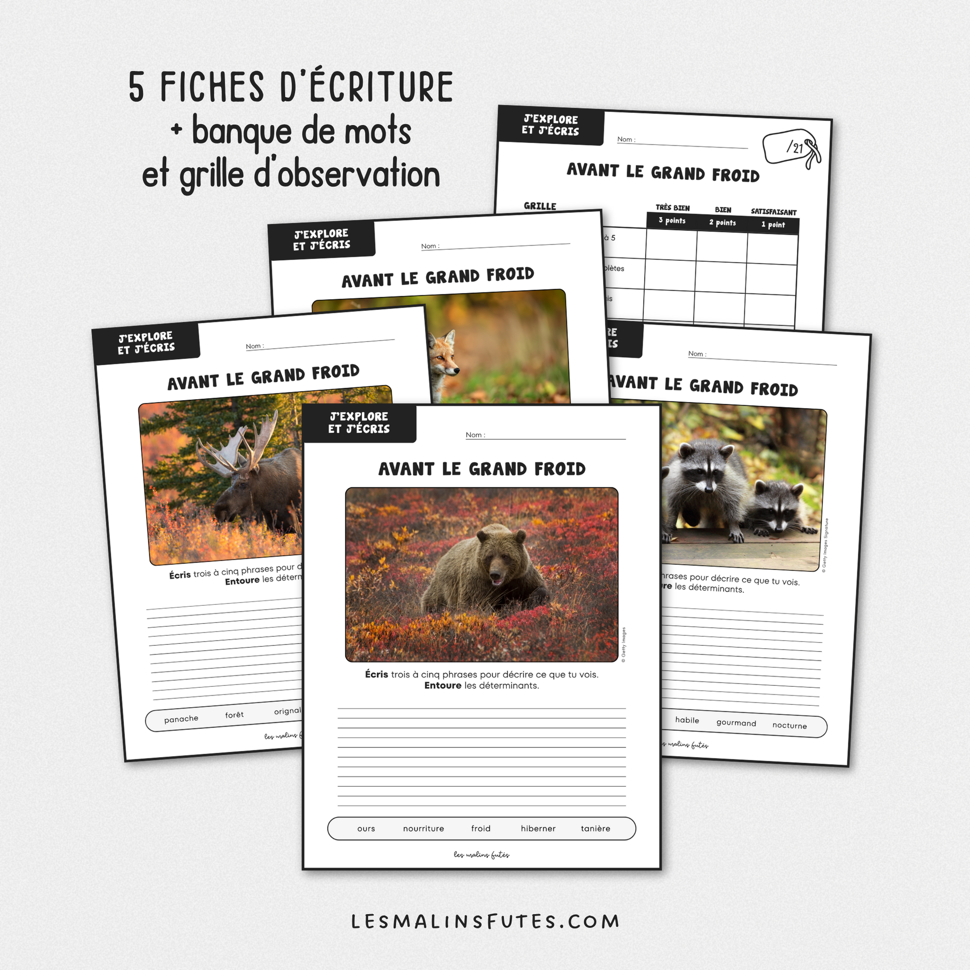 Écriture : Avant le grand froid - 2e cycle. Les Malins Futés