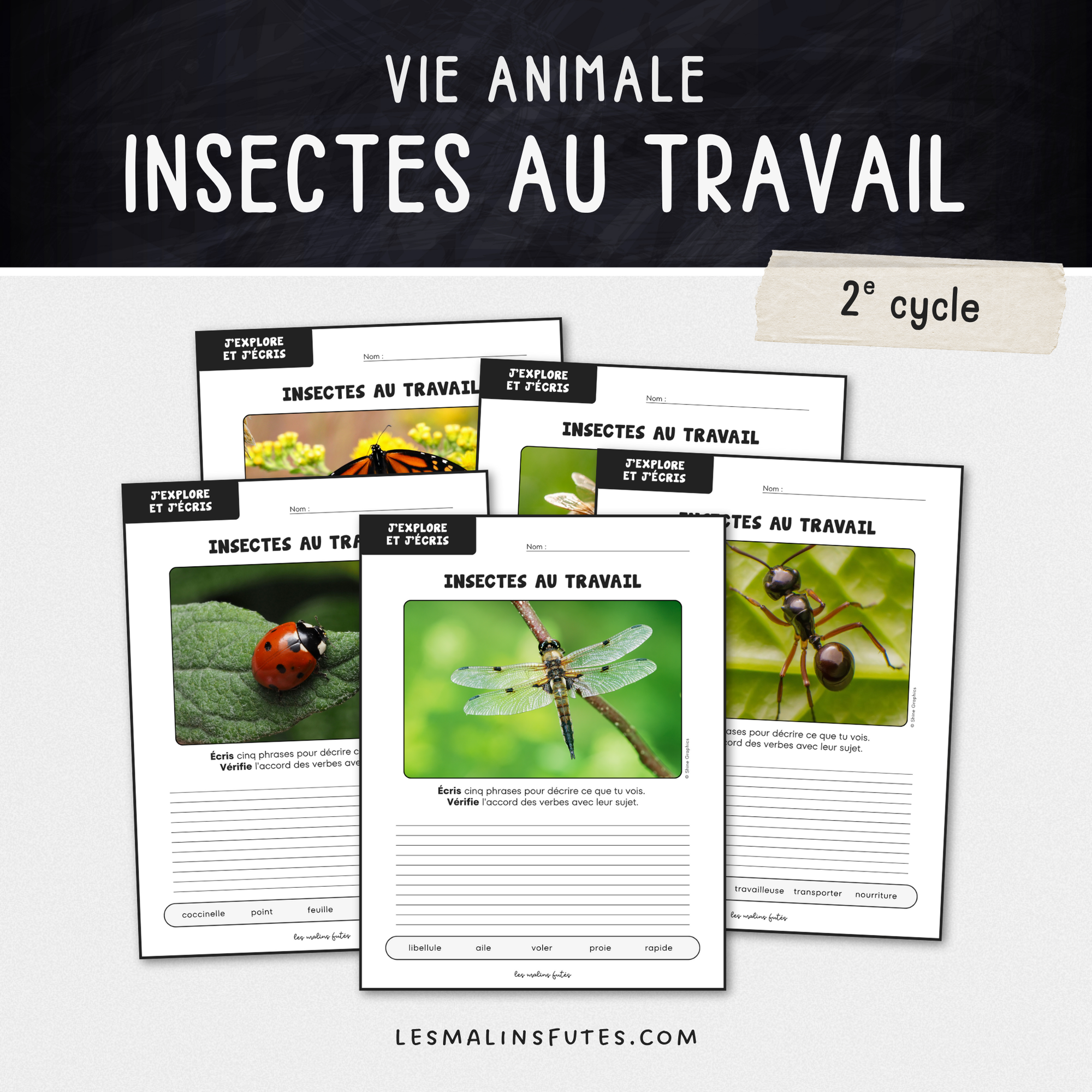 Écriture : Insectes au travail - 2e cycle. Les Malins Futés