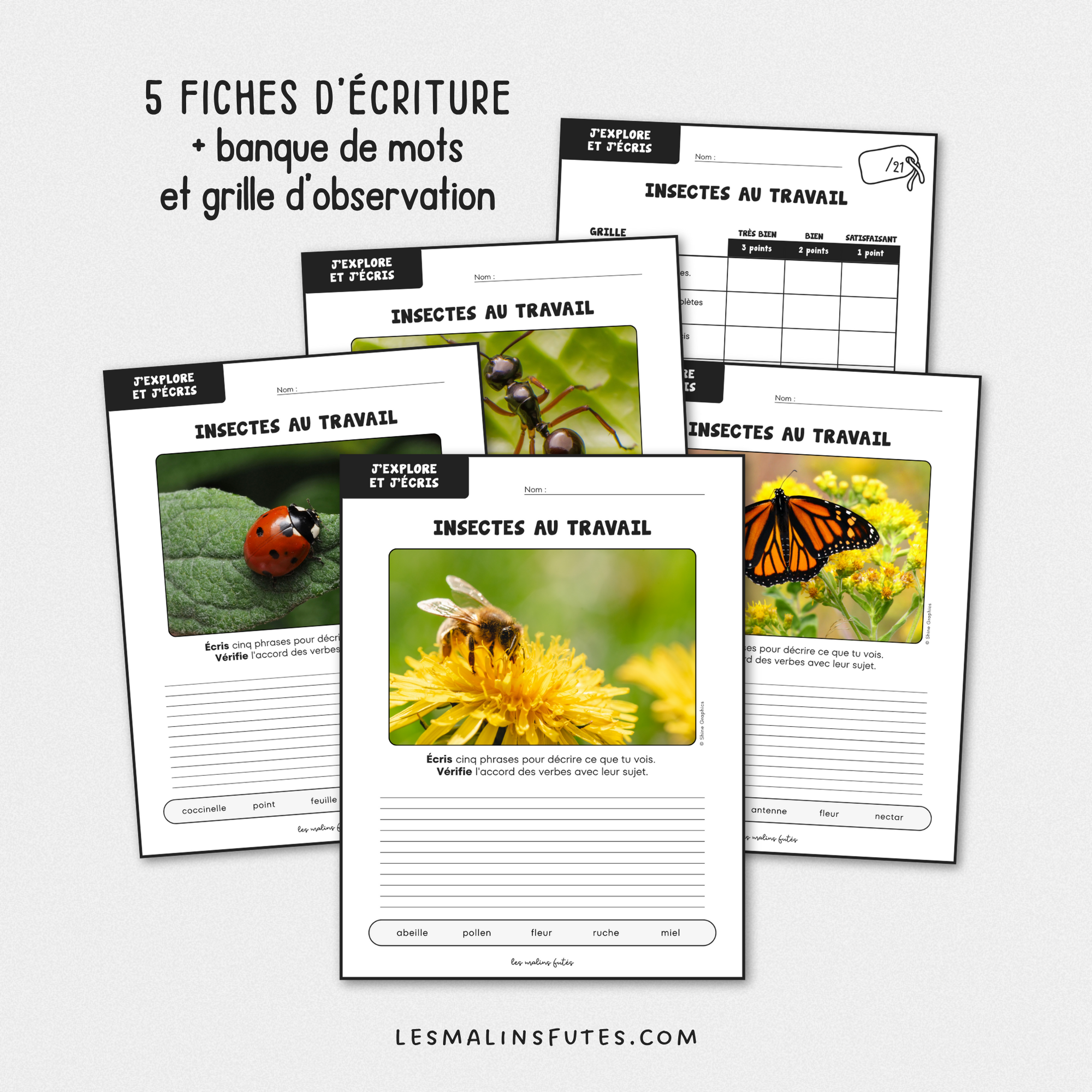 Écriture : Insectes au travail - 2e cycle. Les Malins Futés