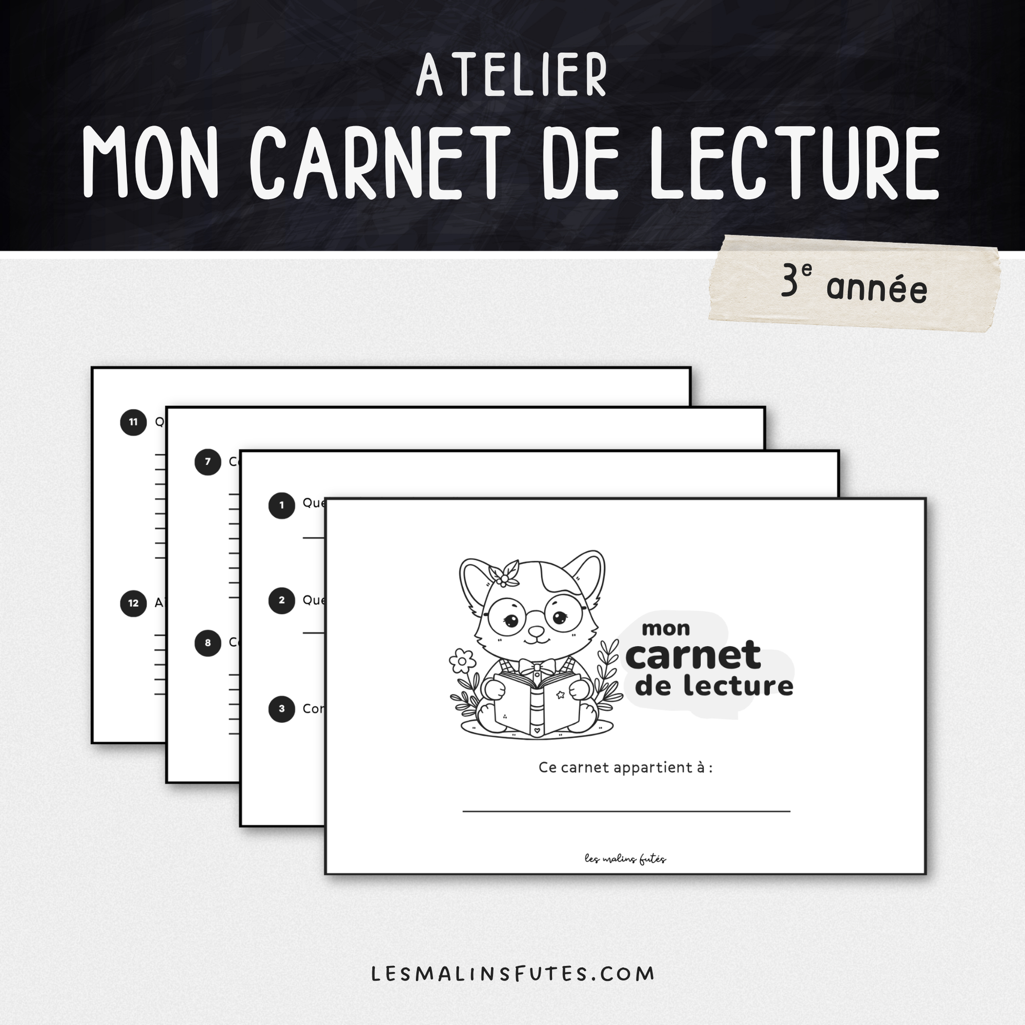 Mon carnet de lecture pour la 3e année. Les Malins Futés