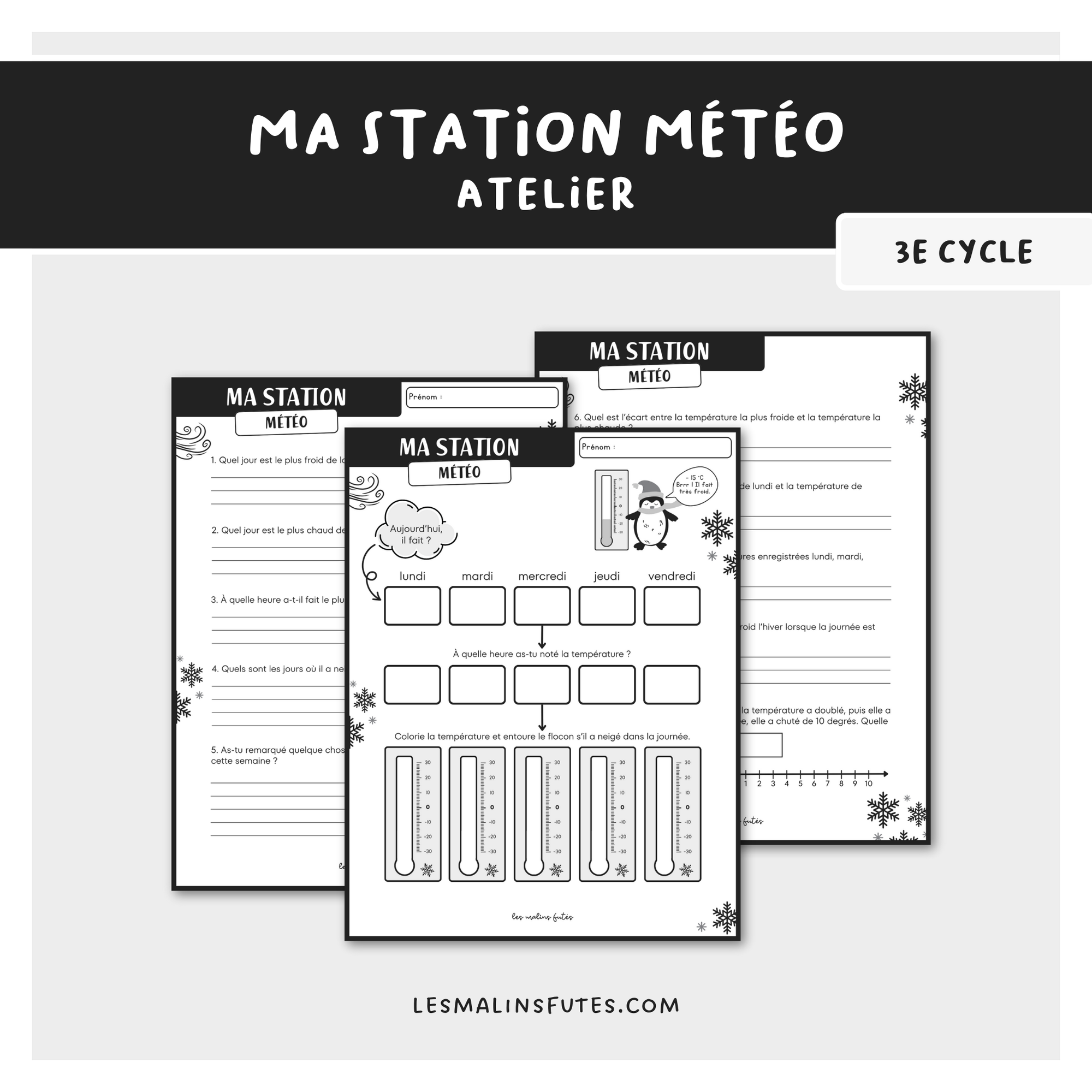 Atelier d'estimation et de mesure des températures pour le 3e cycle. Les Malins Futés