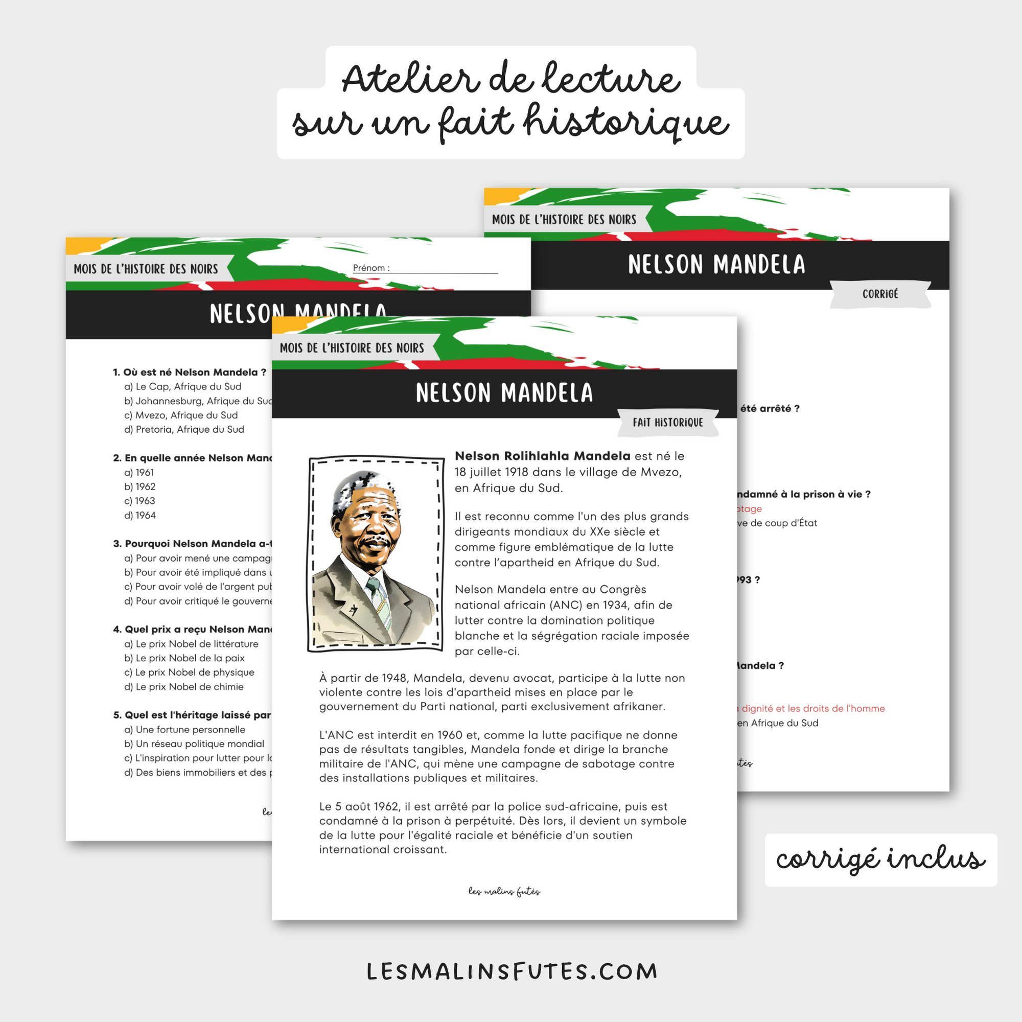 Atelier de lecture sur Nelson Mandela pour la 6e année. Les Malins Futés