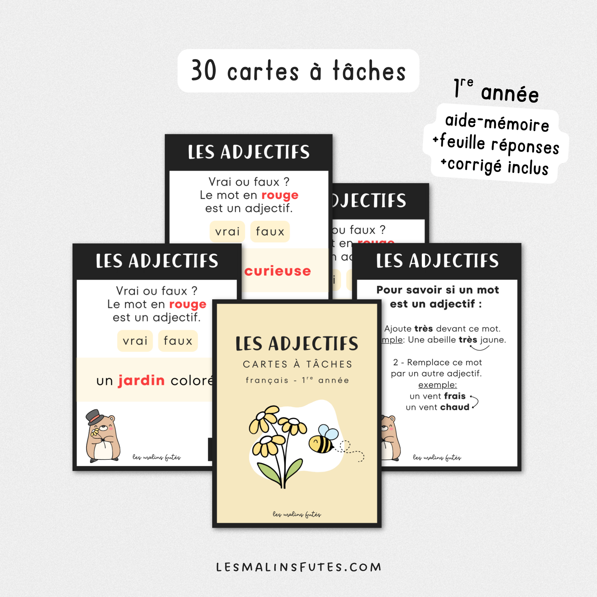 Cartes à tâches pour travailler les adjectifs en 1re année. Les Malins Futés