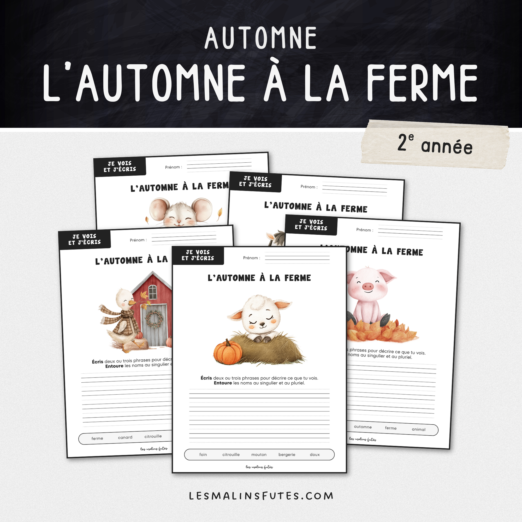Je vois et j'écris : L'automne à la ferme - 2e année. Les Malins Futés