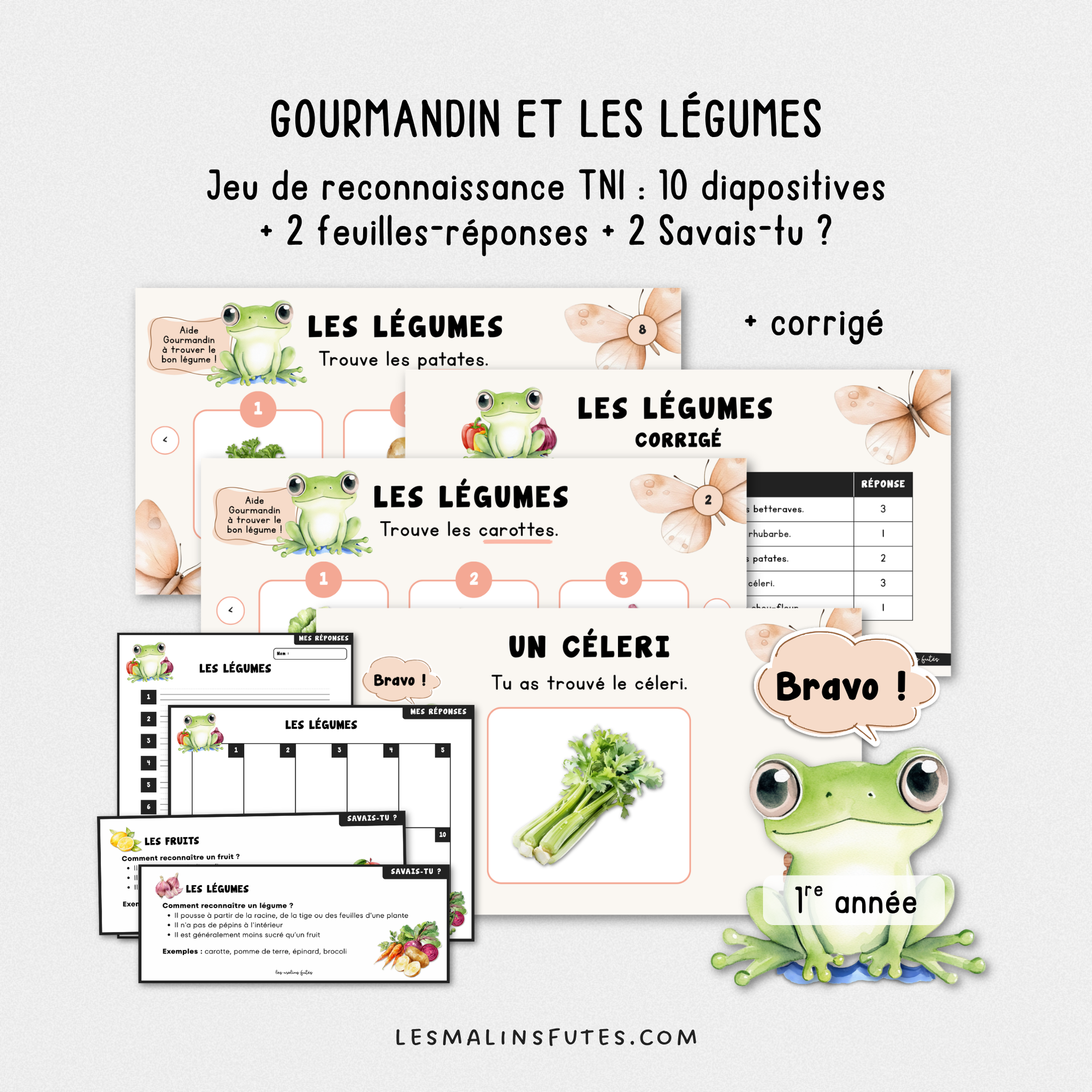 Diapositives colorées d'une activité de reconnaissance des légumes pour le 1er cycle du primaire. Les Malins Futés