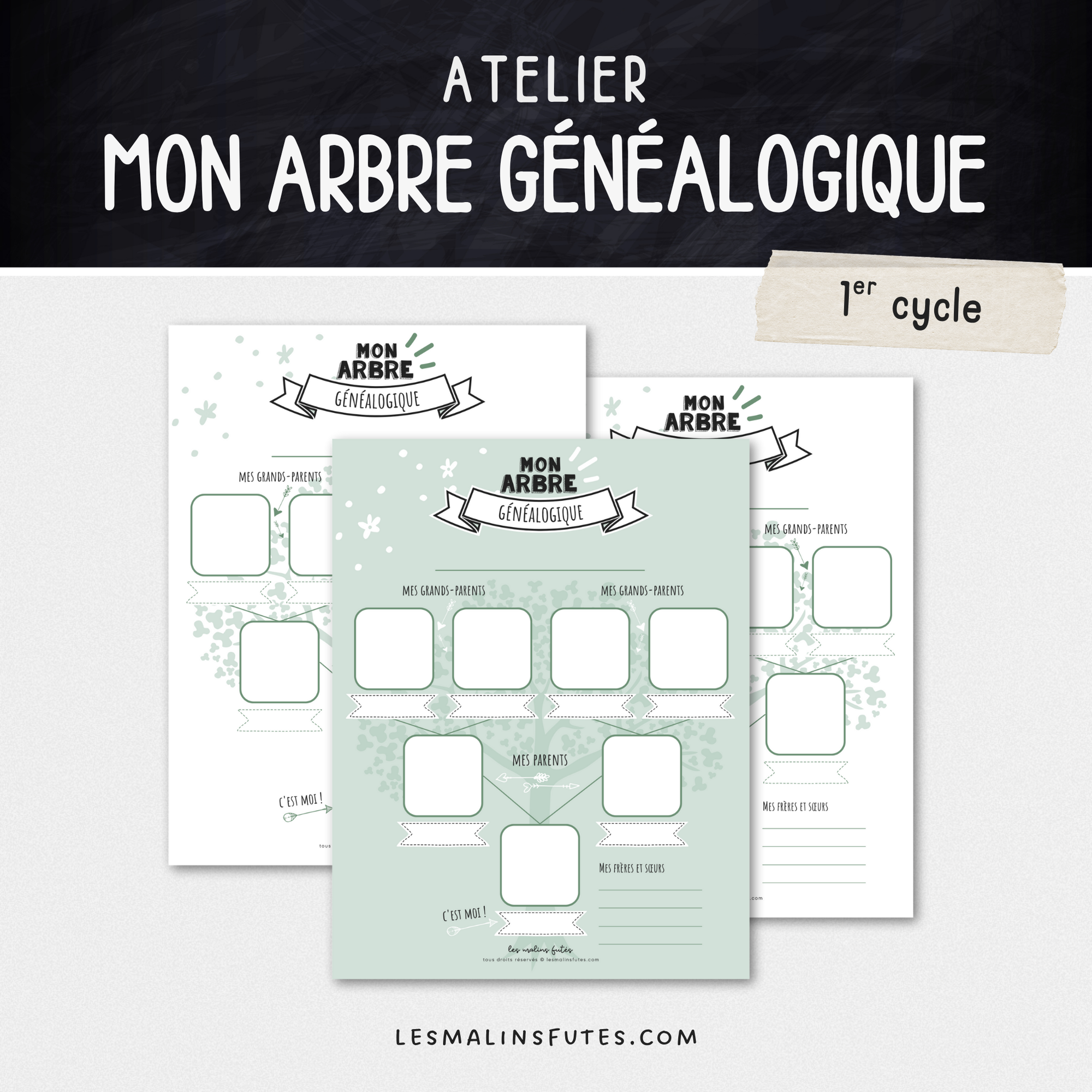 Mon arbre généalogique - 1er cycle du primaire - Les Malins Futés