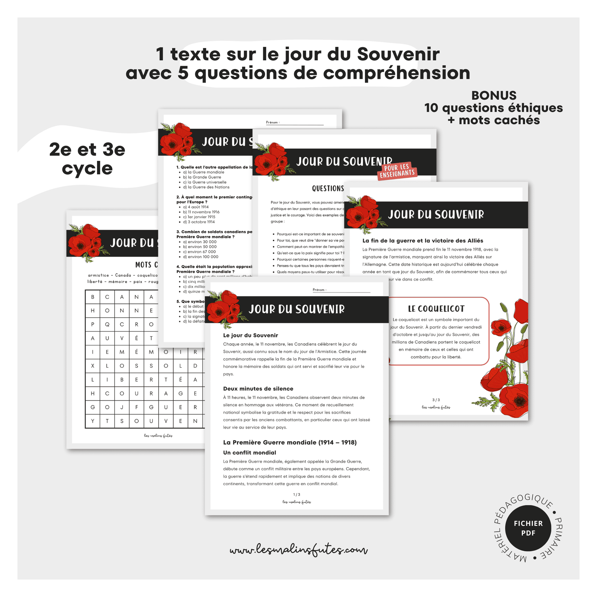 Atelier jour du souvenir pour le 2e et 3e cycle. Les Malins Futés