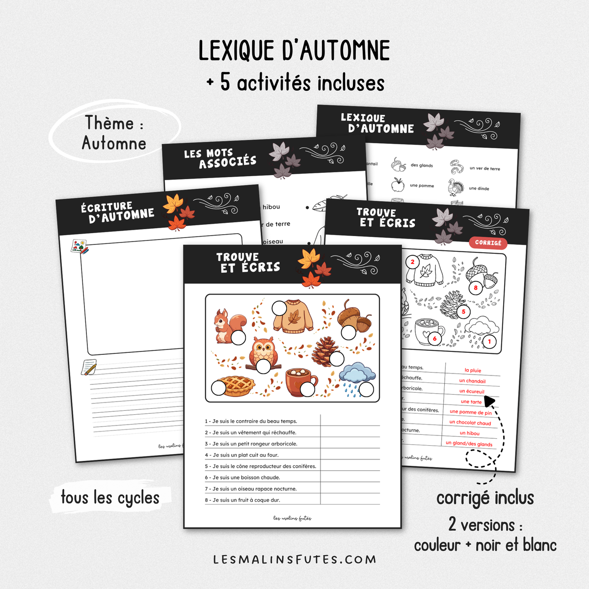 Illustrations pour un lexique d'automne avec 5 activités. Les Malins Futés