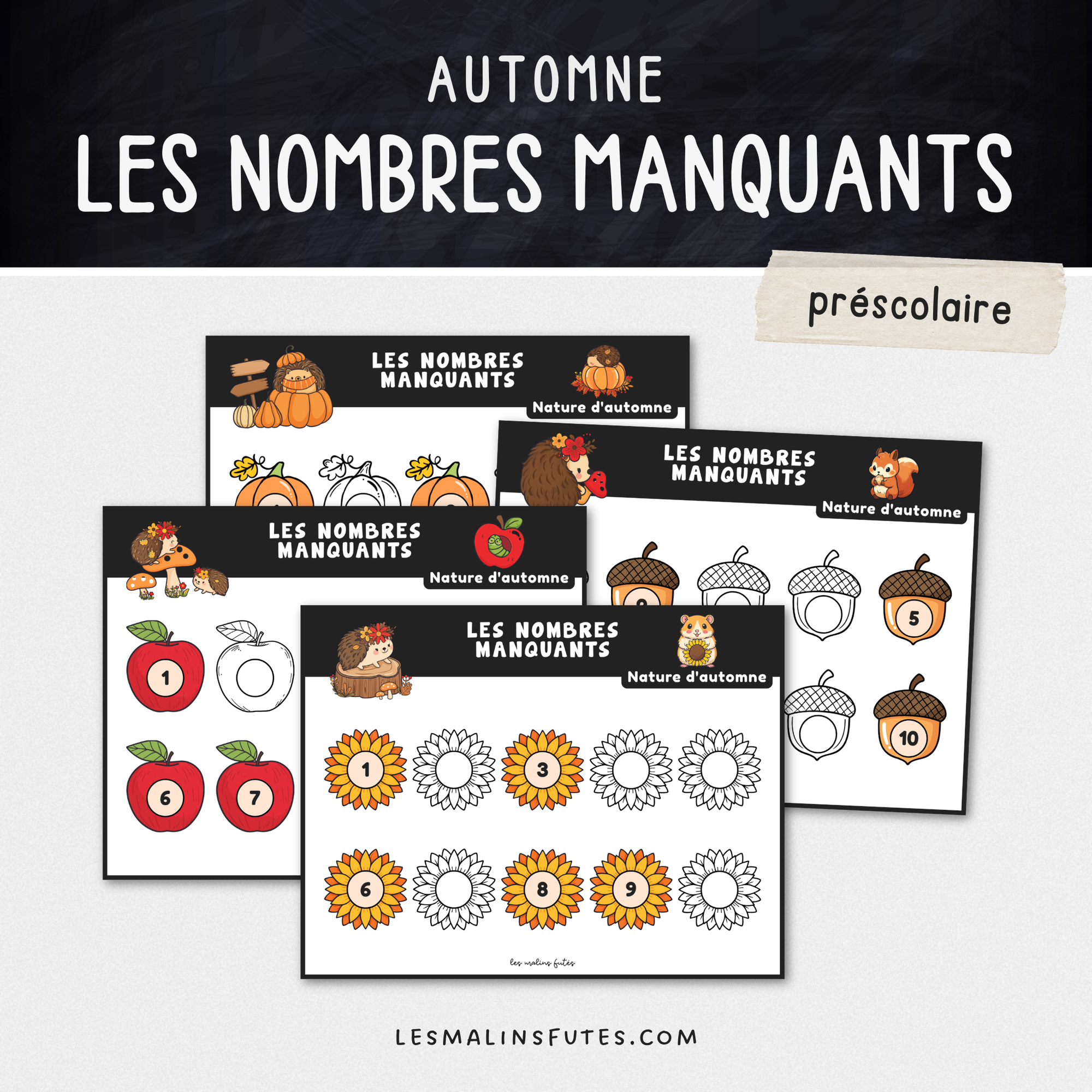 Illustration de fiches pédagogiques avec éléments graphiques sur le thème de l'automne. Les Malins Futés